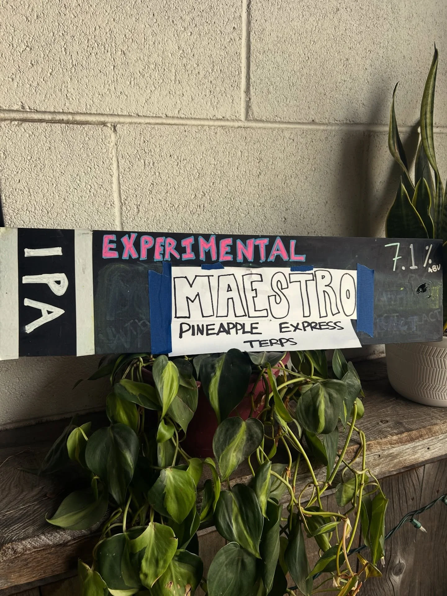 🫣 Experimental Maestro with Pineapple Express terpines!

🍺Lately we&rsquo;ve been tapping some one off kegs in the taproom of some developmental experiments our brewers are doing with some new ingredients.

❤️We&rsquo;re loving sharing what we&rsqu