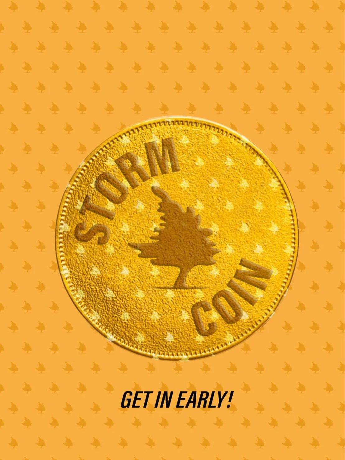📣 Big announcement: effective immediately, we&rsquo;re retiring cash and cards at all taprooms.

🪙Our proprietary cryptocurrency, Storm Coin, is now the only accepted form of payment.

🍺Current exchange rate: 1 Storm Coin = 1 pint. 

🏃Get in earl