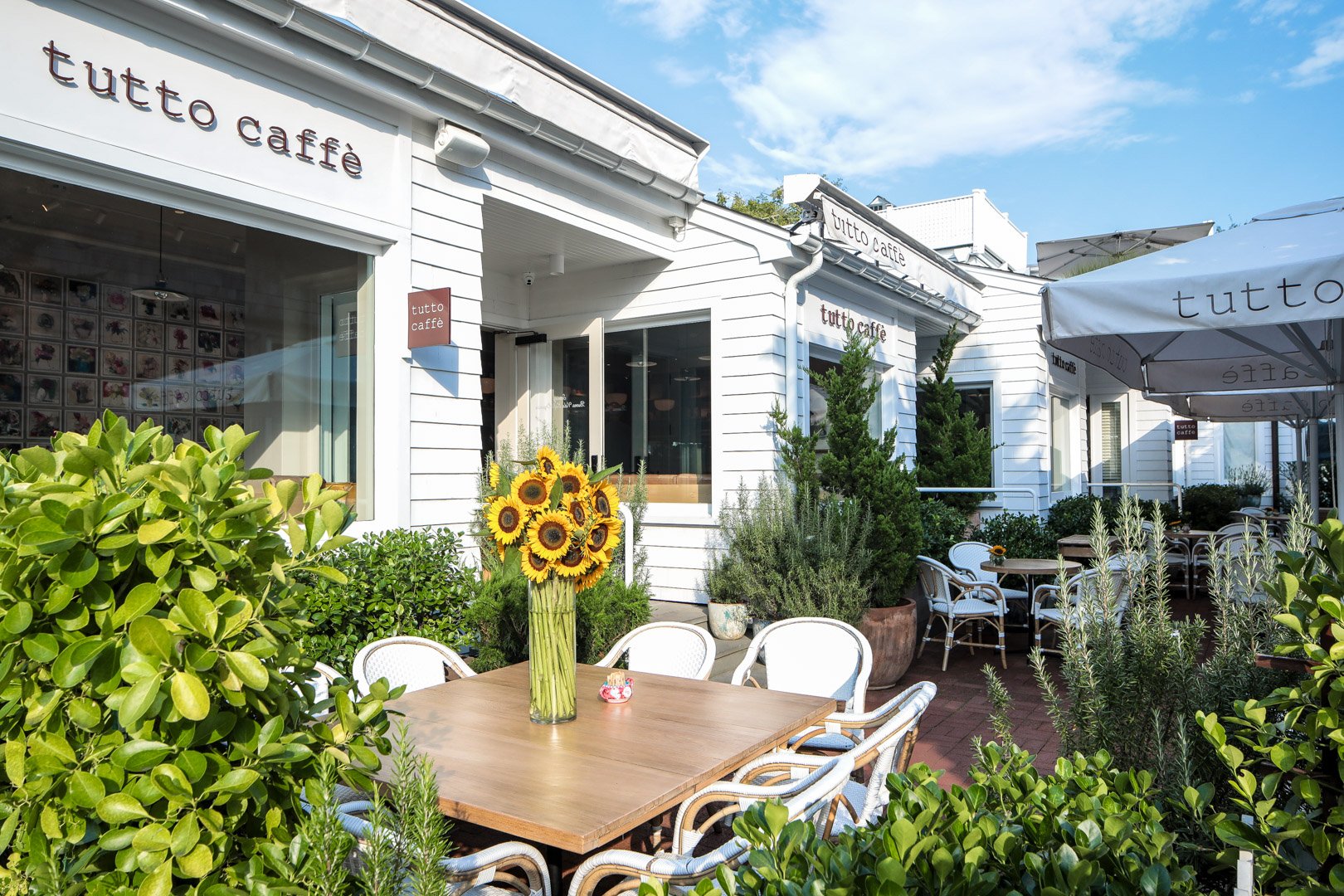 tutto_cafe_eh_8-20-23-3646.jpg