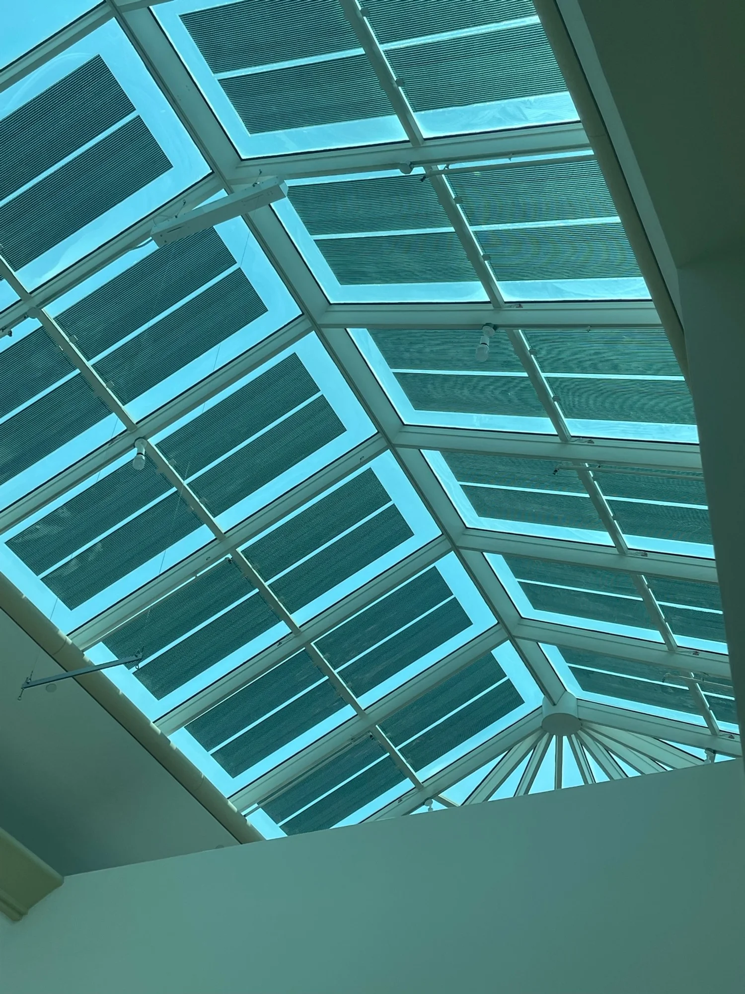 ORENgE skylight