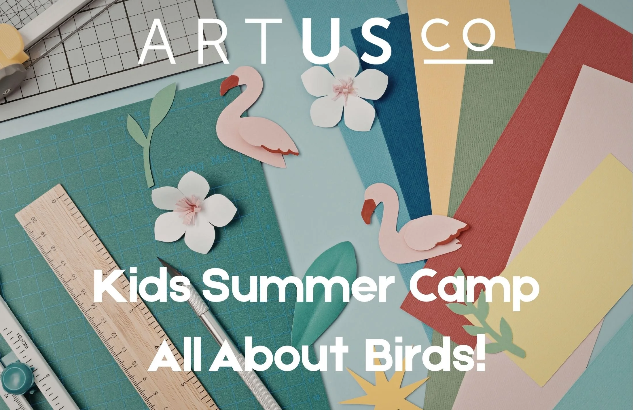Kids Summer Camp! All about Birds