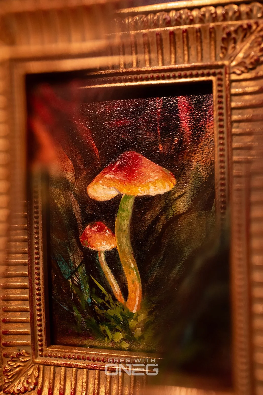 Realms of Fungi 2026 -17.jpg