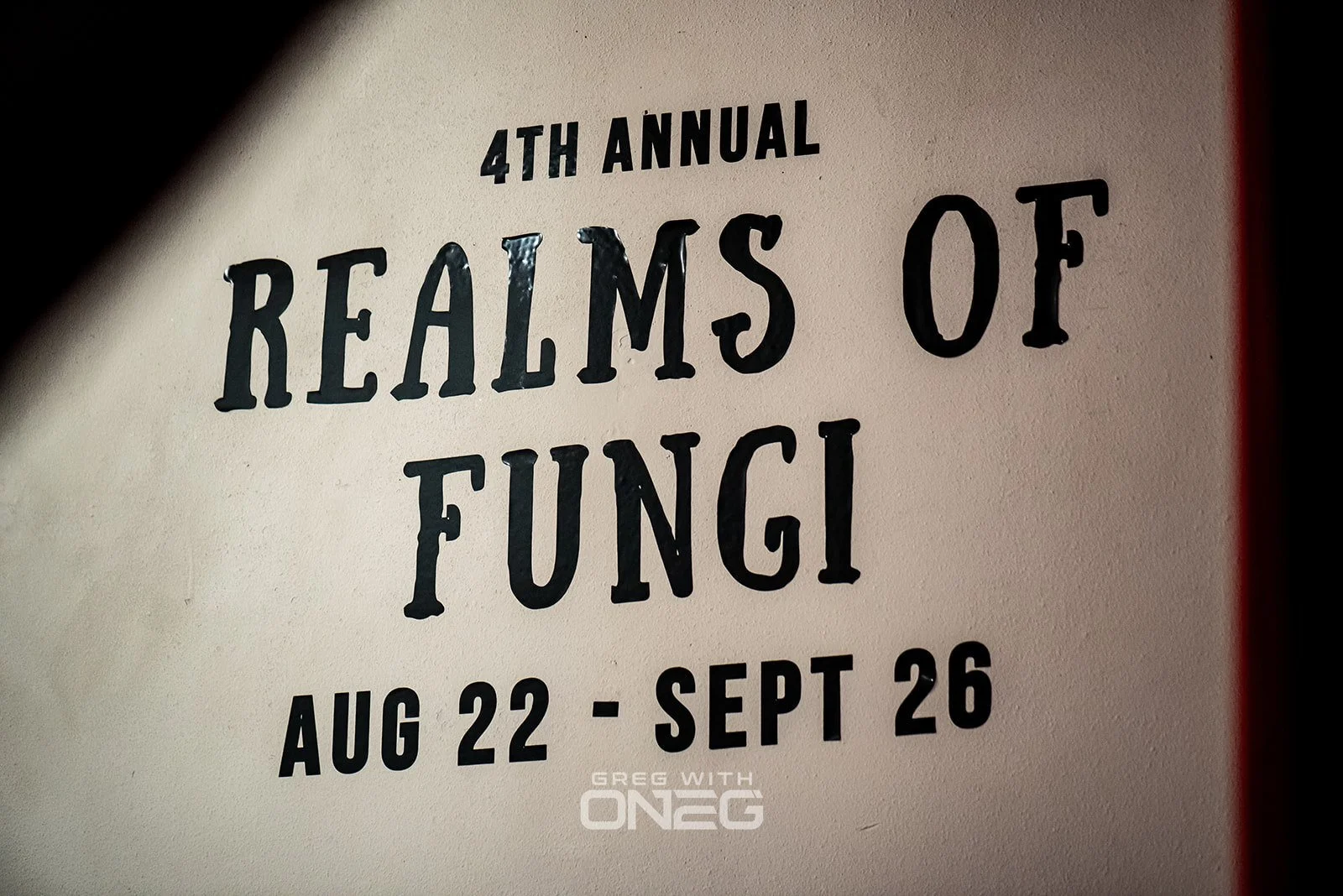 Realms of Fungi 2026 -152.jpg