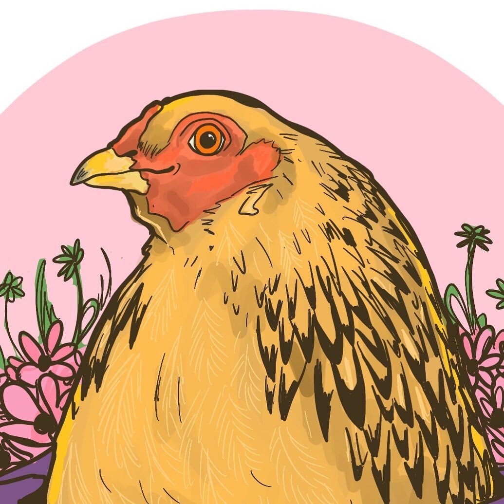 &ldquo;Ain&rsquo;t no spring chicken!&rdquo; 🐔🌸🌺
.
My girls (and I) are pretty eager for spring to arrive, and here in Eastern Ontario it won&rsquo;t *feel* like it until at least late-April early May. But doodling flowers and grass helps push the