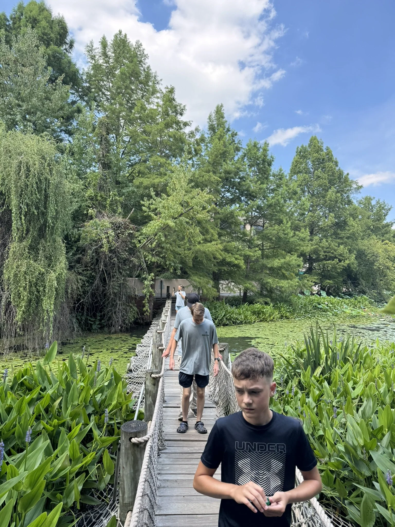 IMG_8771.JPEG