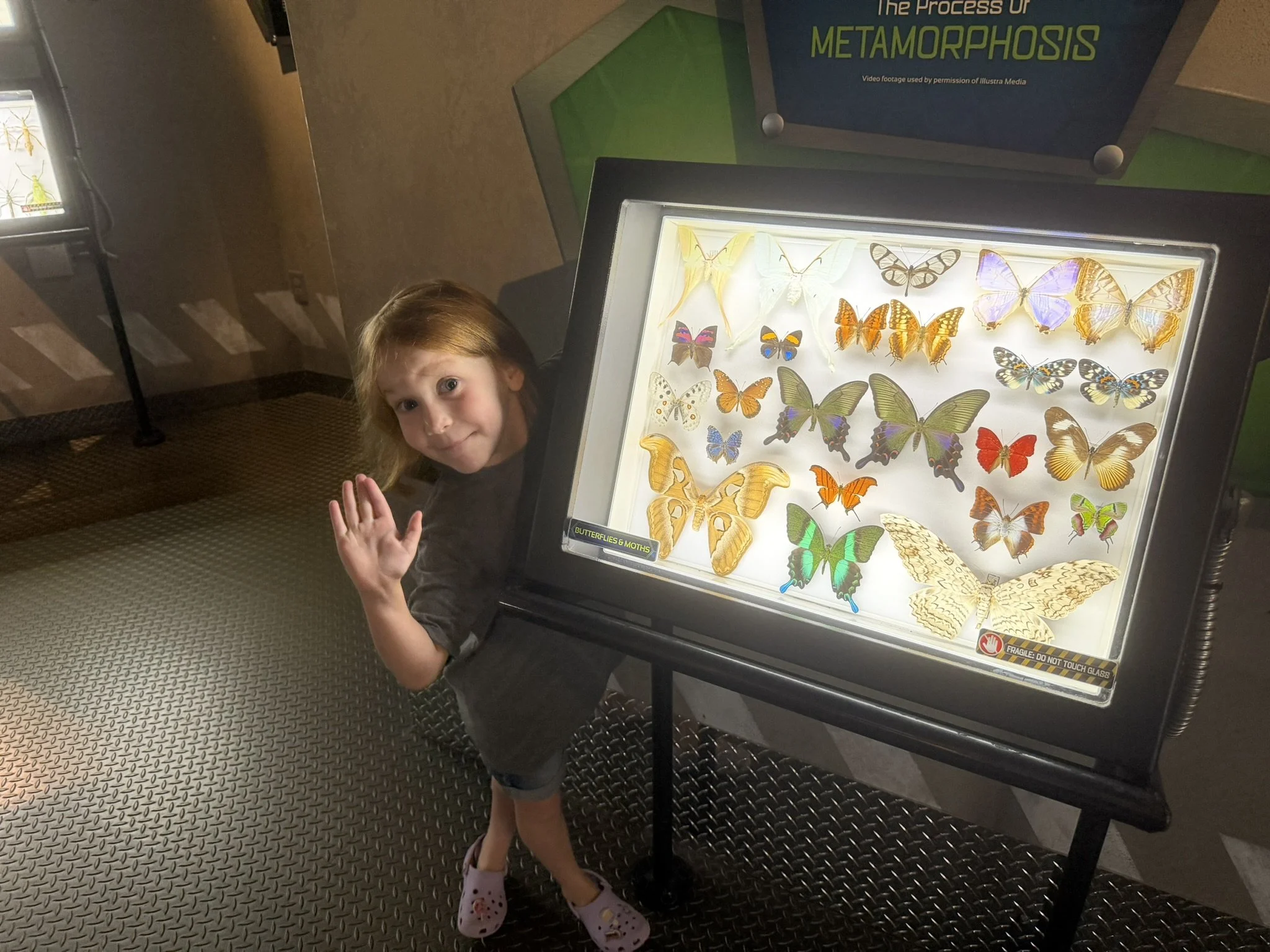 IMG_0284.JPEG
