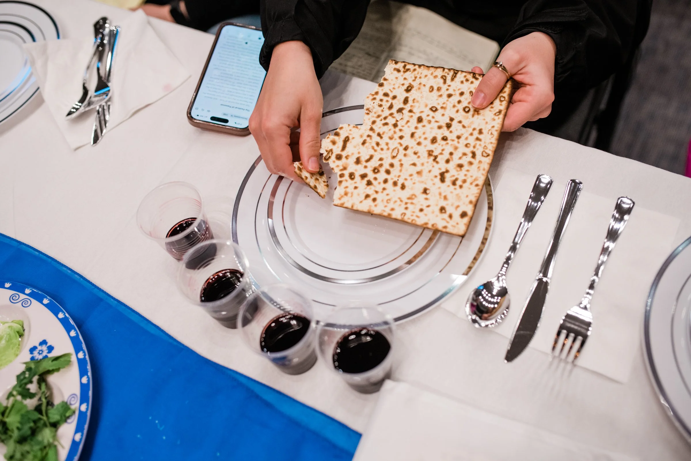 The Passover Seder | 2026