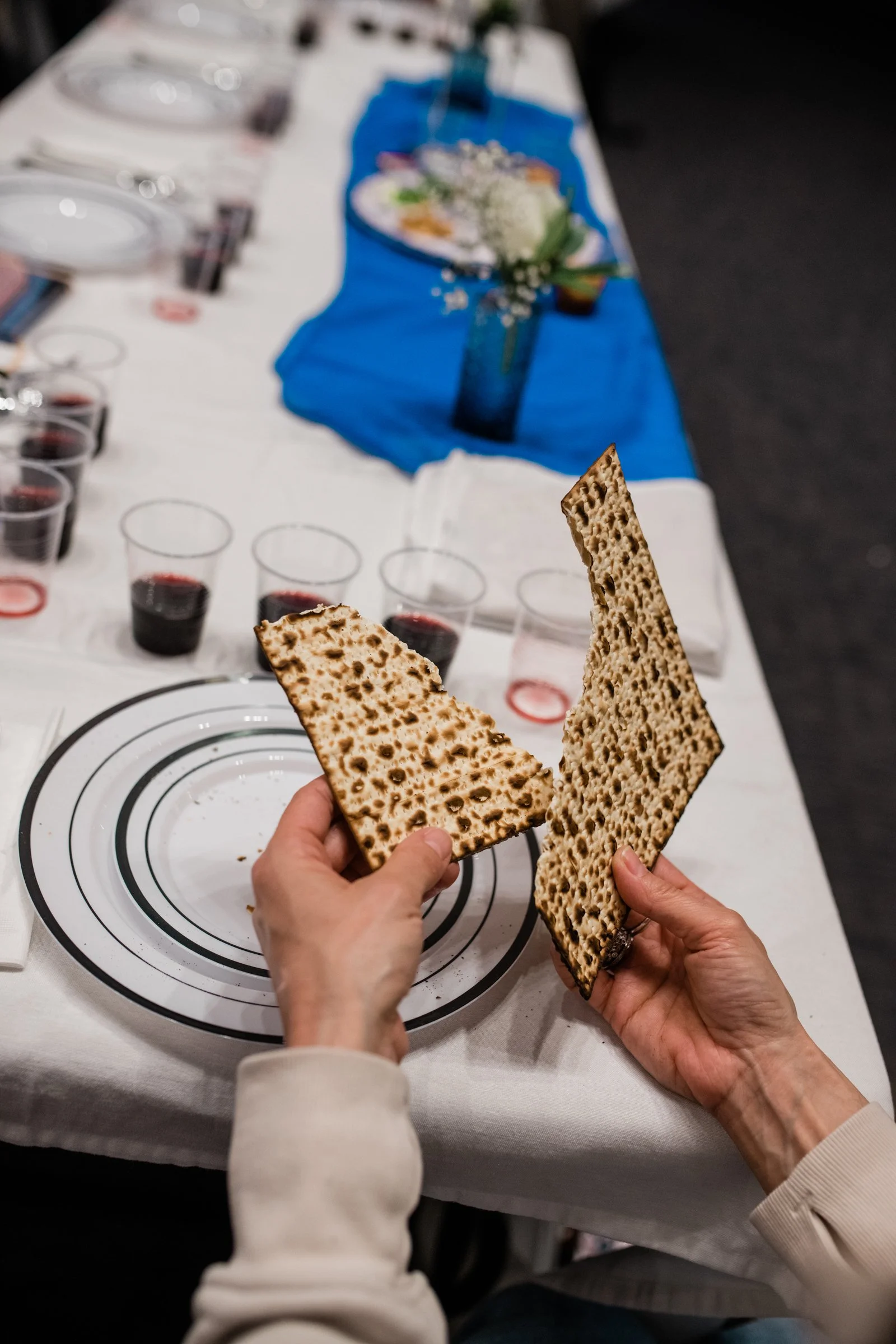 Seder-40.jpg
