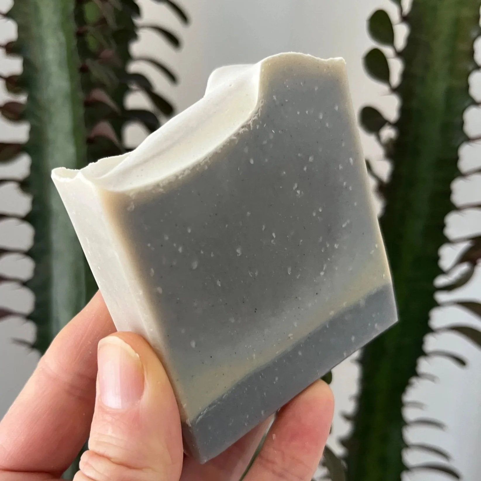 Woodsy Tobacco + Bay