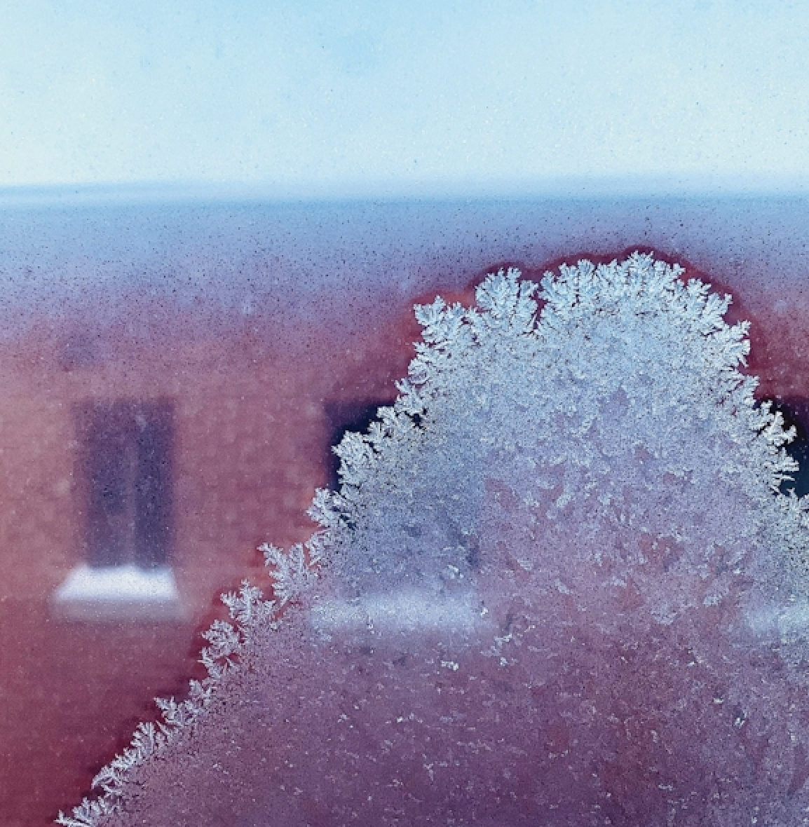 Molly Bendall &amp; Elizabeth Robinson