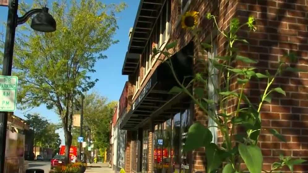 New bookstore opens on Main Street in Longmont - The Longmont Leader