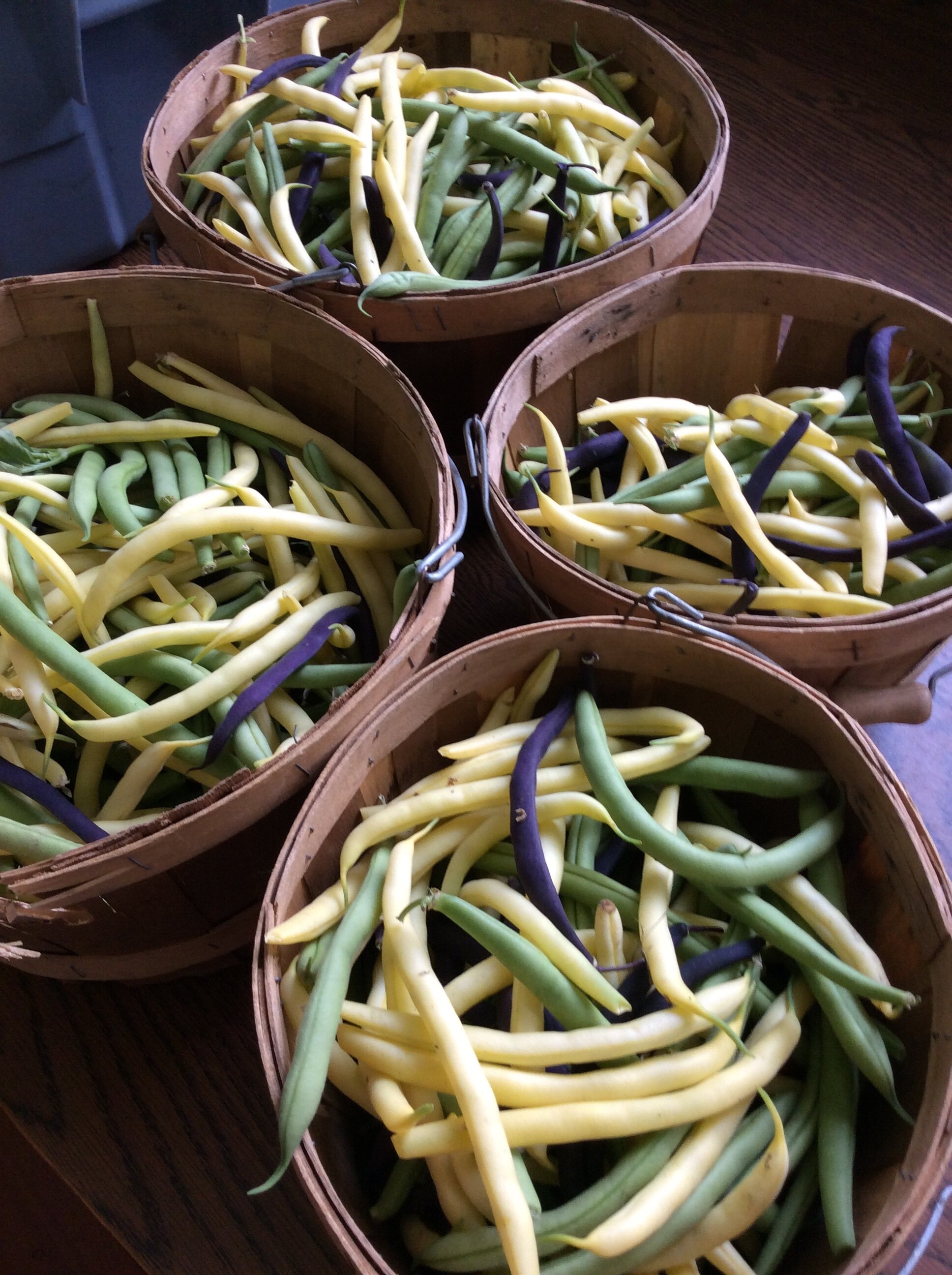 Green Beans.jpg