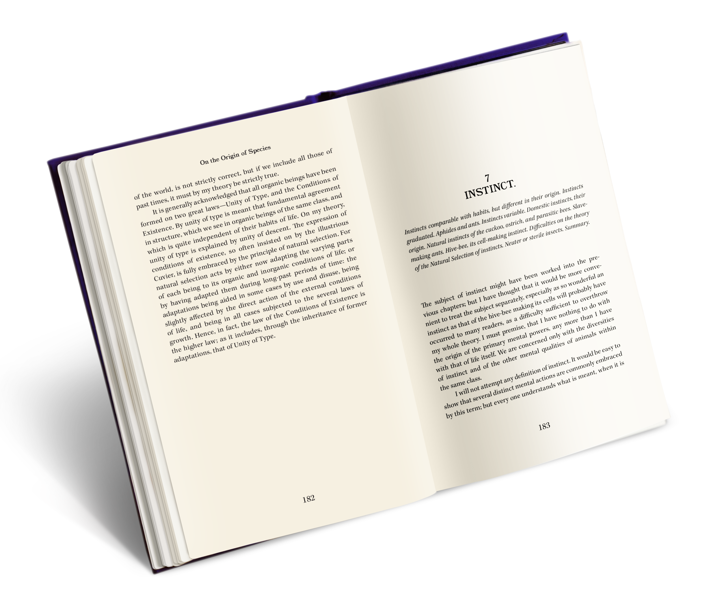 inside book final.png