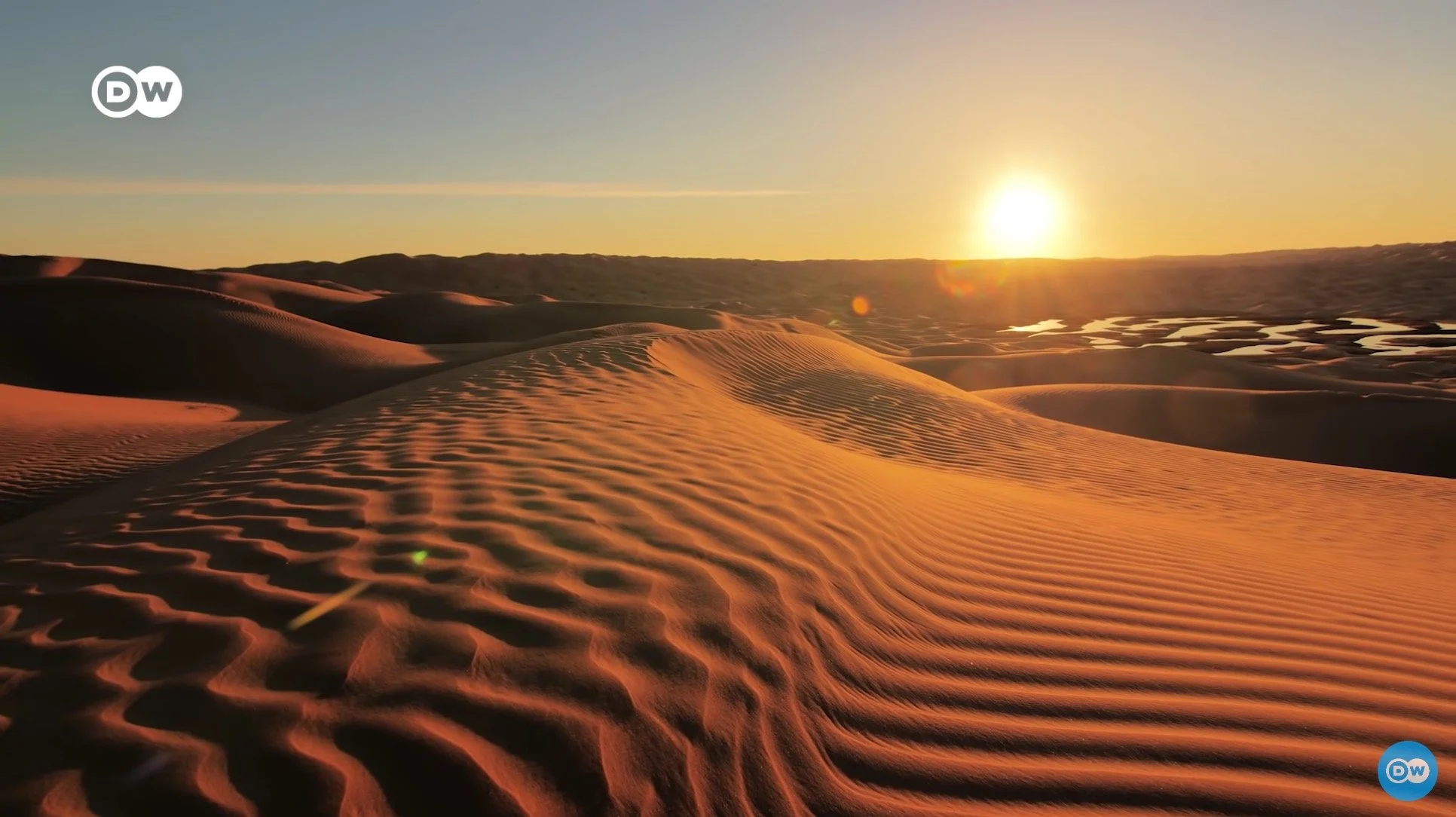 Watch It Wednesday #44