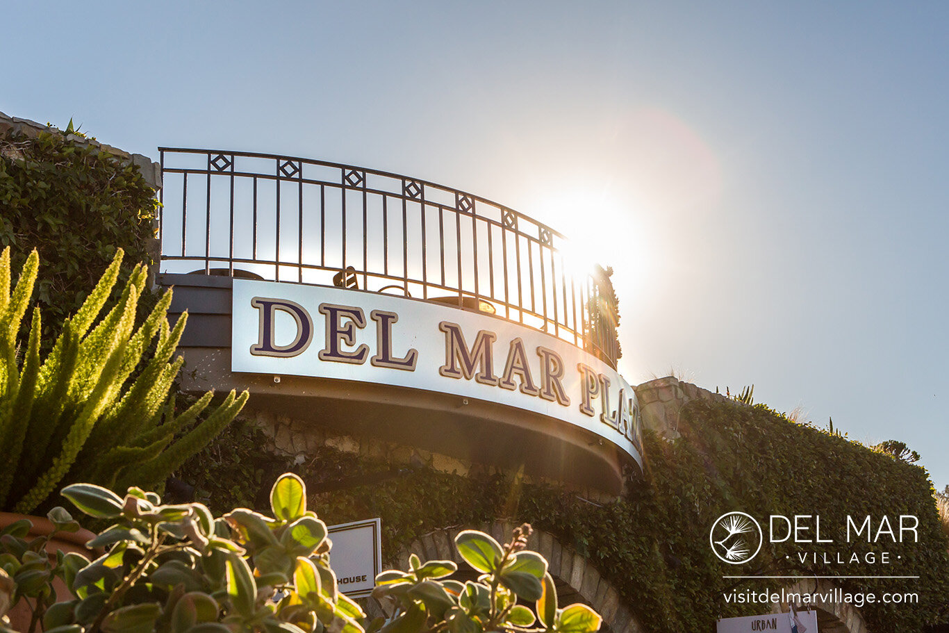 DMVA-Del-Mar-Plaza-1_web.jpg