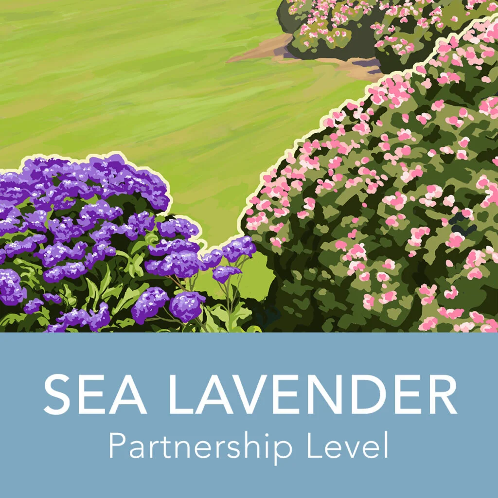 Partnership_Lavender-1024x1024.jpg