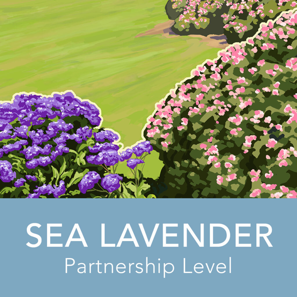 Sea Lavender Partnership | Premium