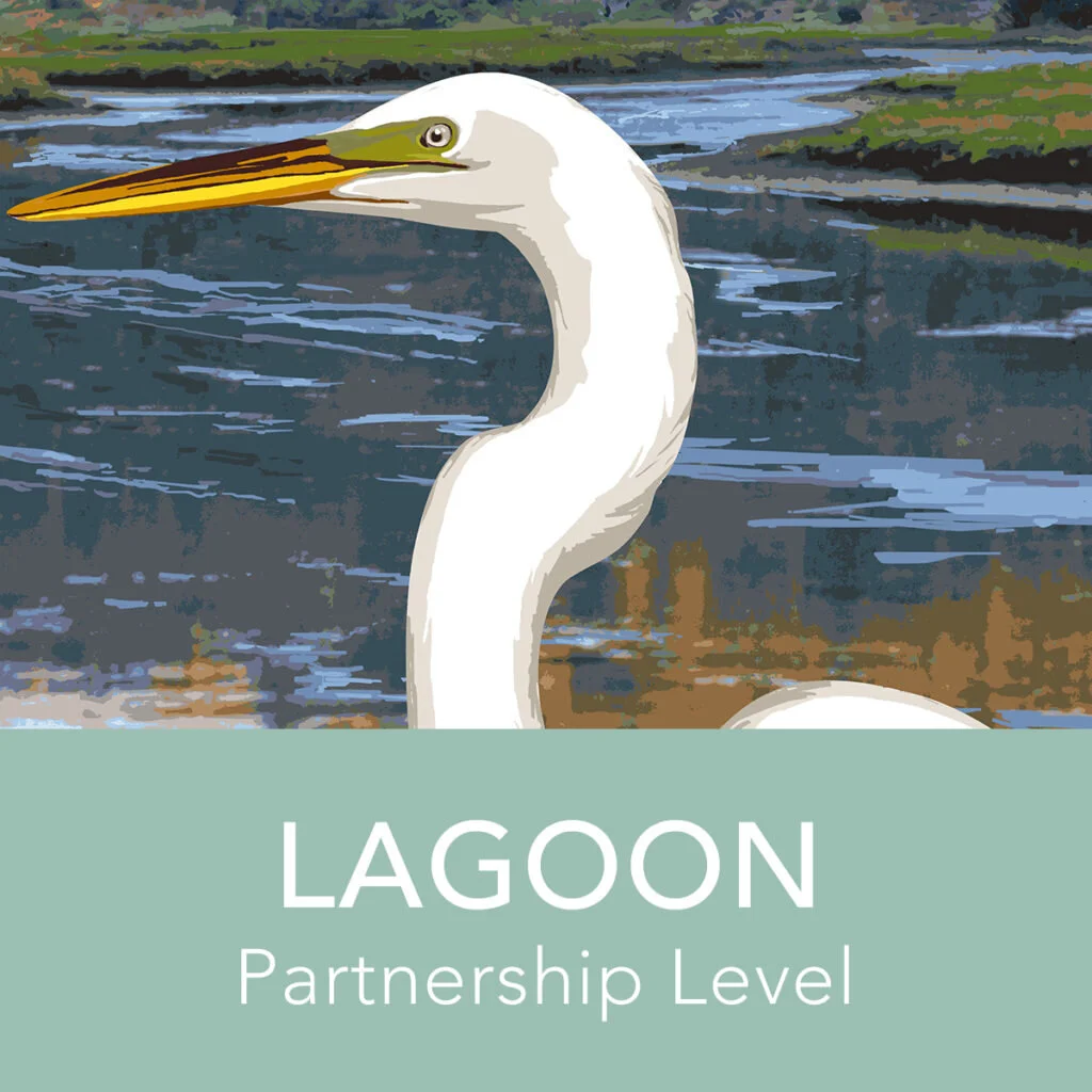 Partnership_Lagoon-1024x1024.jpg