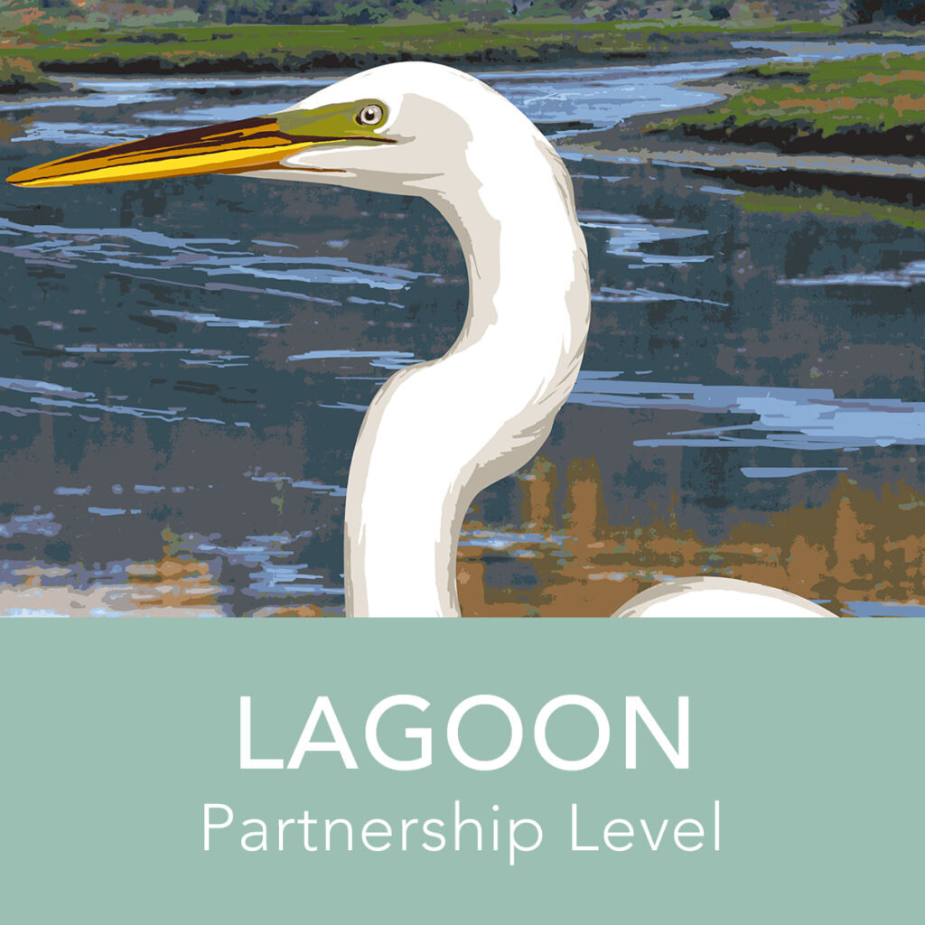 Lagoon Partnership | Premium Plus