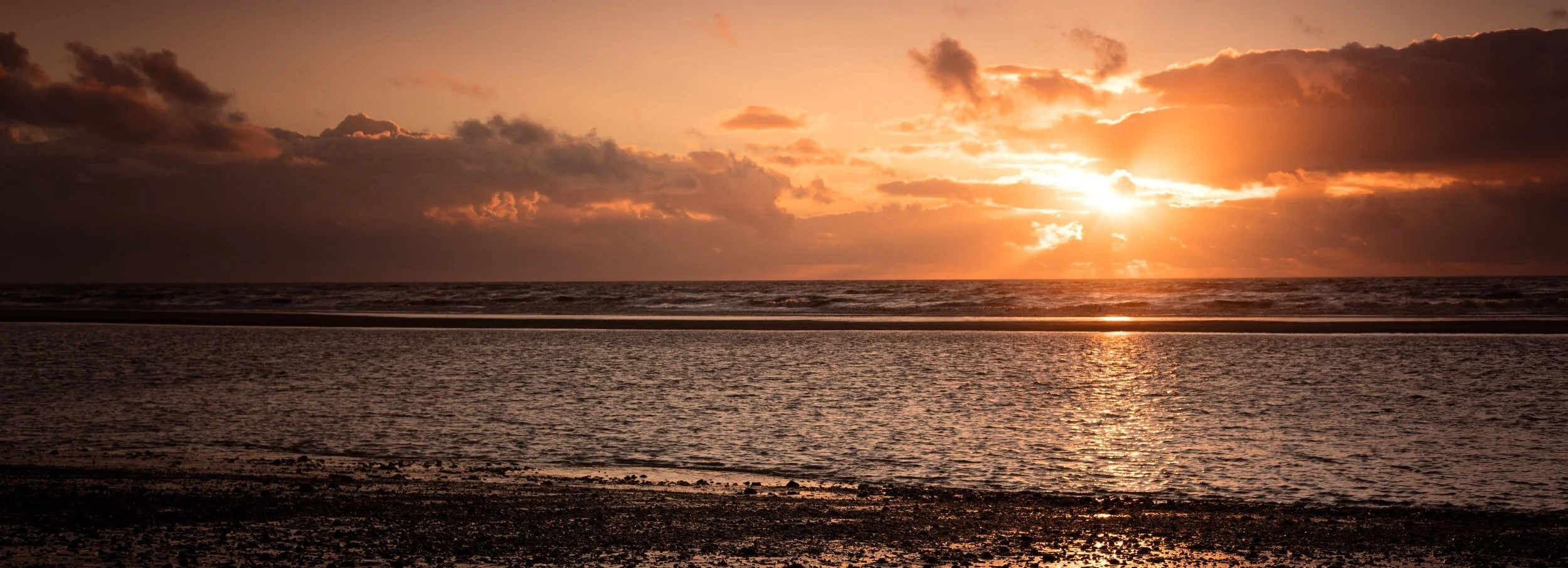 The Ultimate Del Mar Village Day Trip Guide for Fall