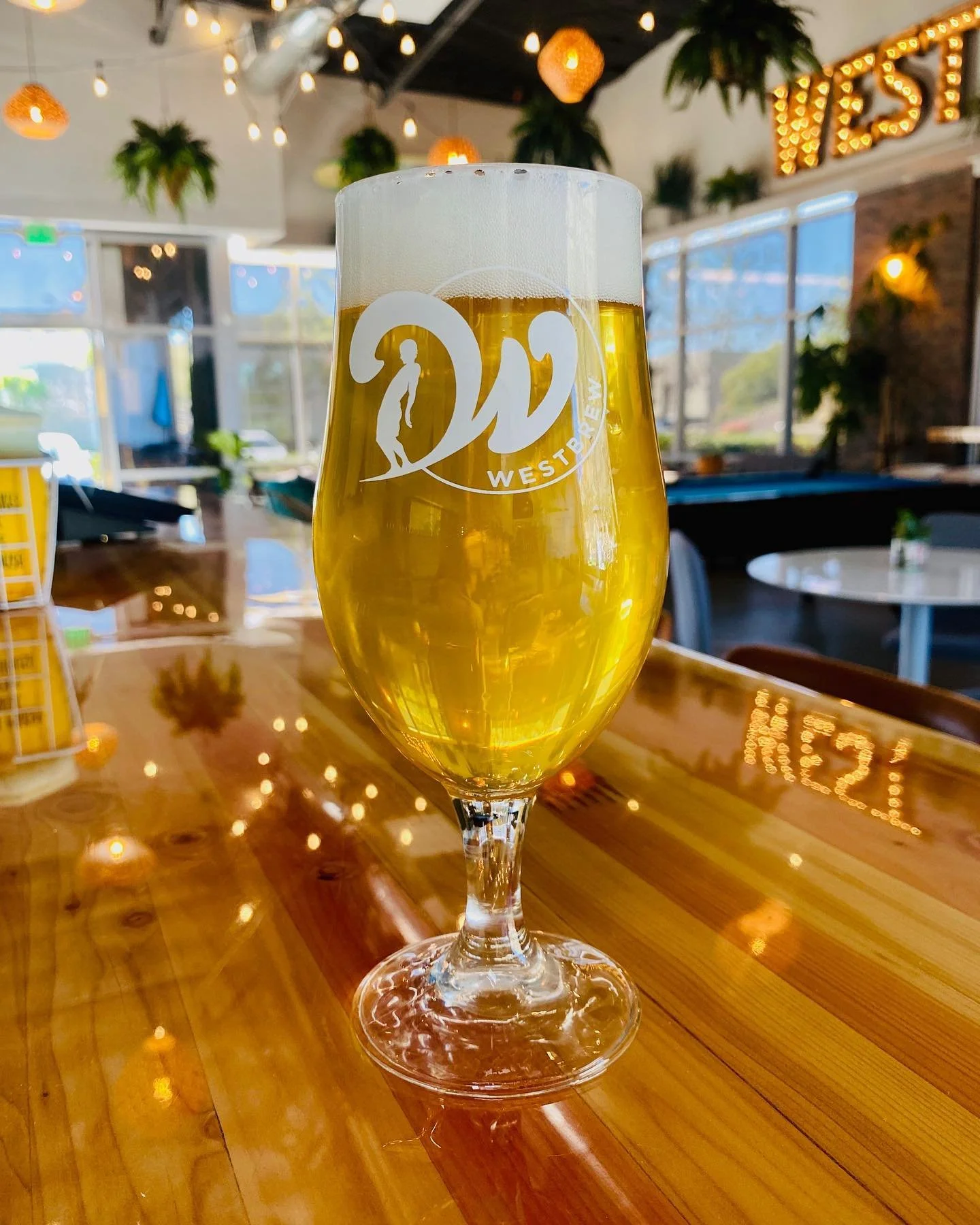 Five MustDrink Beers in Del Mar Village — Visit Del Mar Village