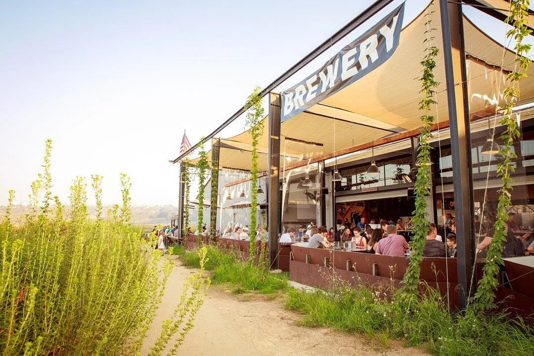 An Insider's Guide To The Del Mar Races — Visit Del Mar Village