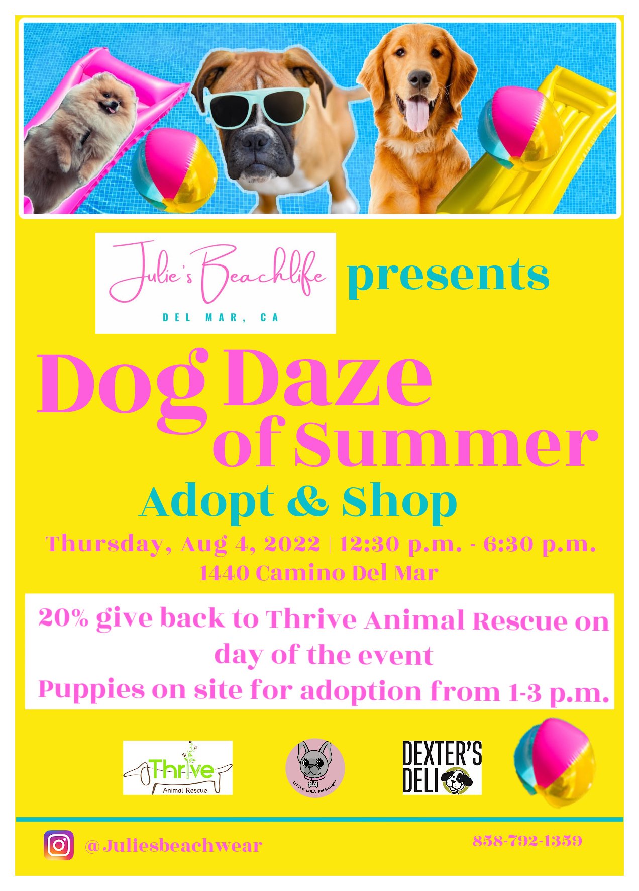 Dog Daze of Summer Event — Visit Del Mar Village