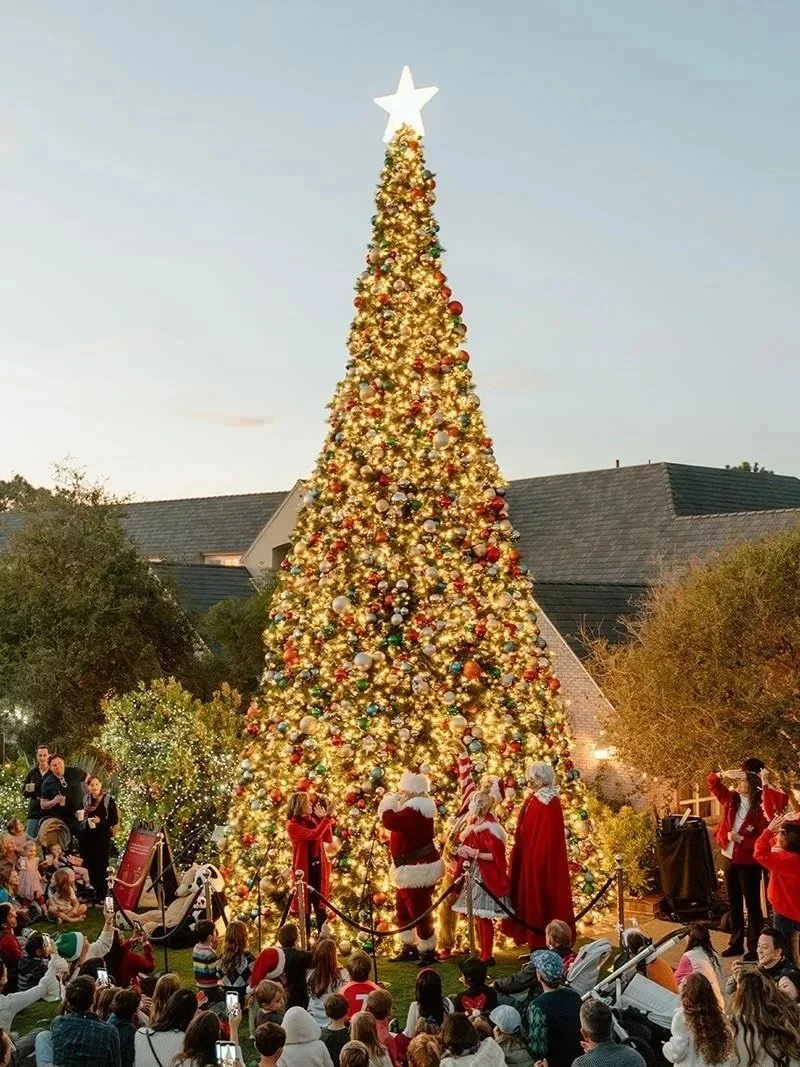 holiday tree lighting in del mar