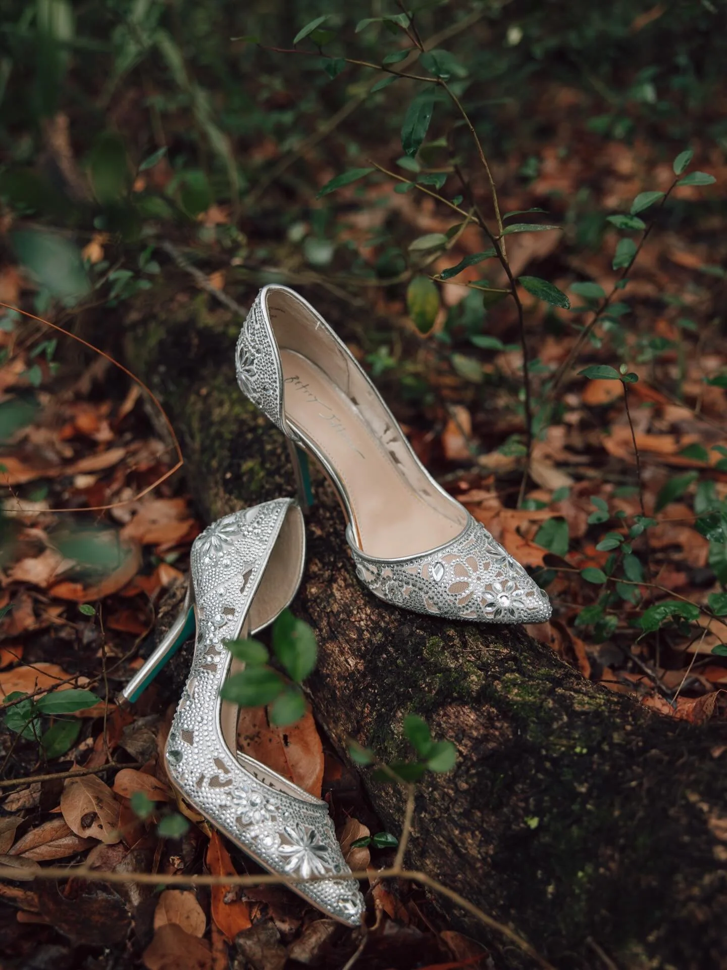 When you stumble upon a fairy tail in the woods of the south 🤍