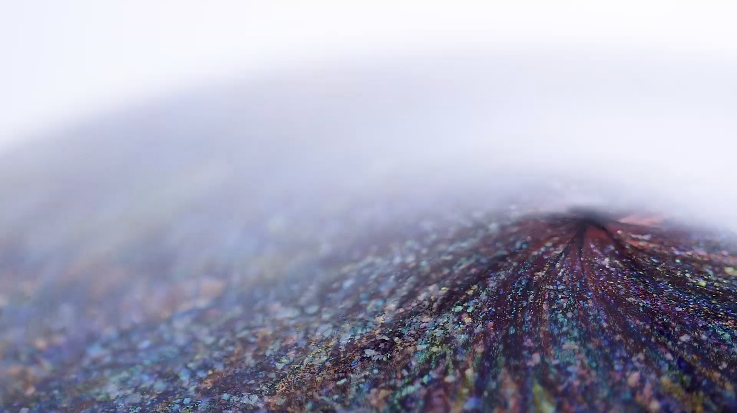 BURST_MACRO.png