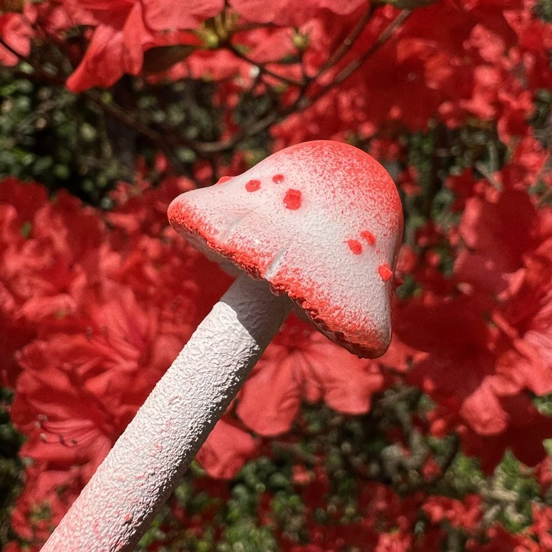FluorescentRed&White-Mushroom-Angle-Azalea_v1.jpg