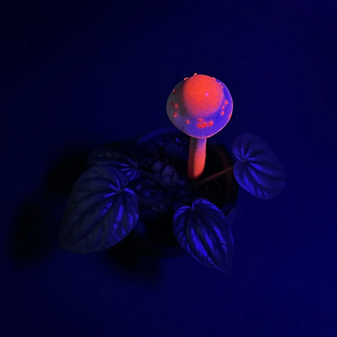 FluorescentRed&White-Mushroom-UV1_v1.jpg