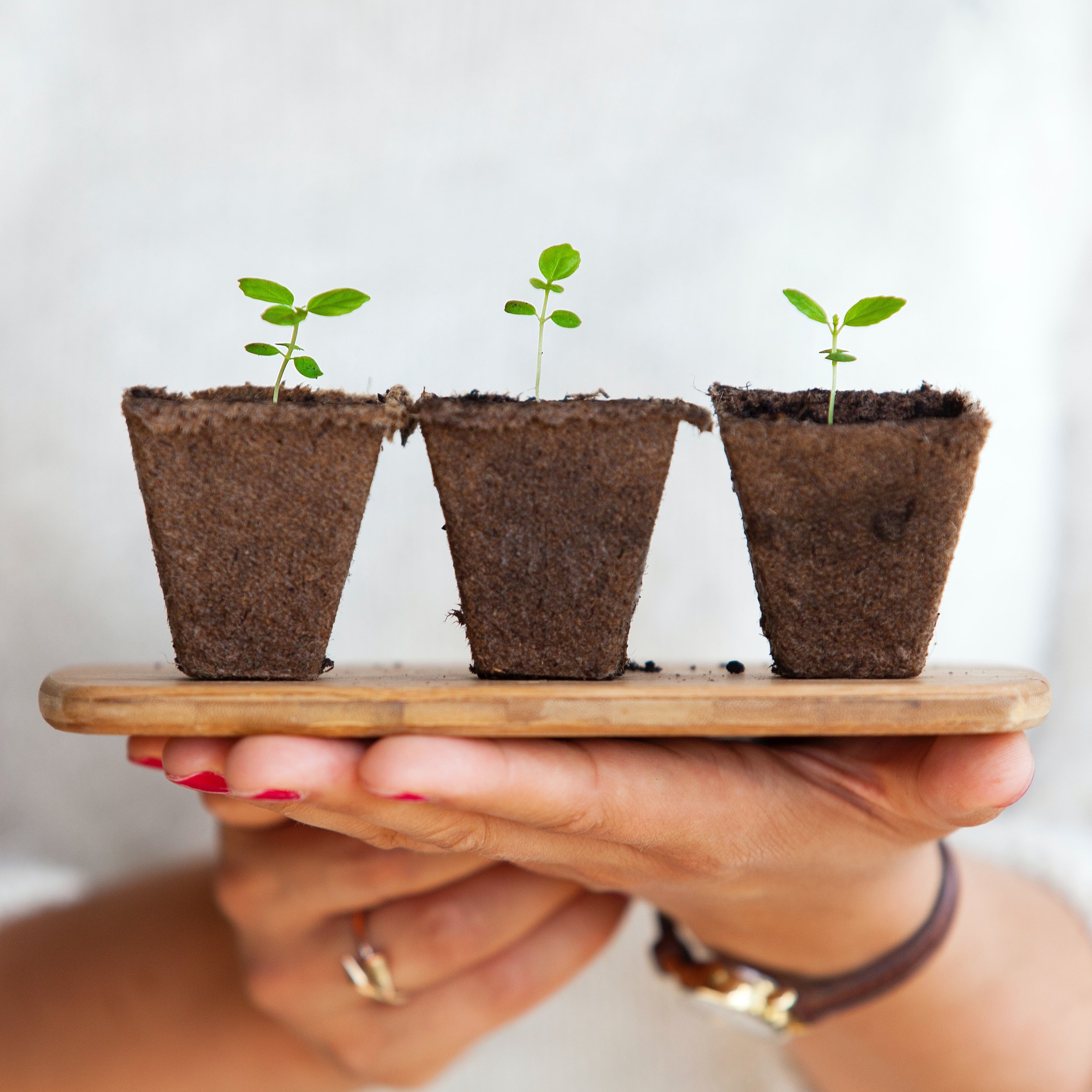 The Imperative of Growth