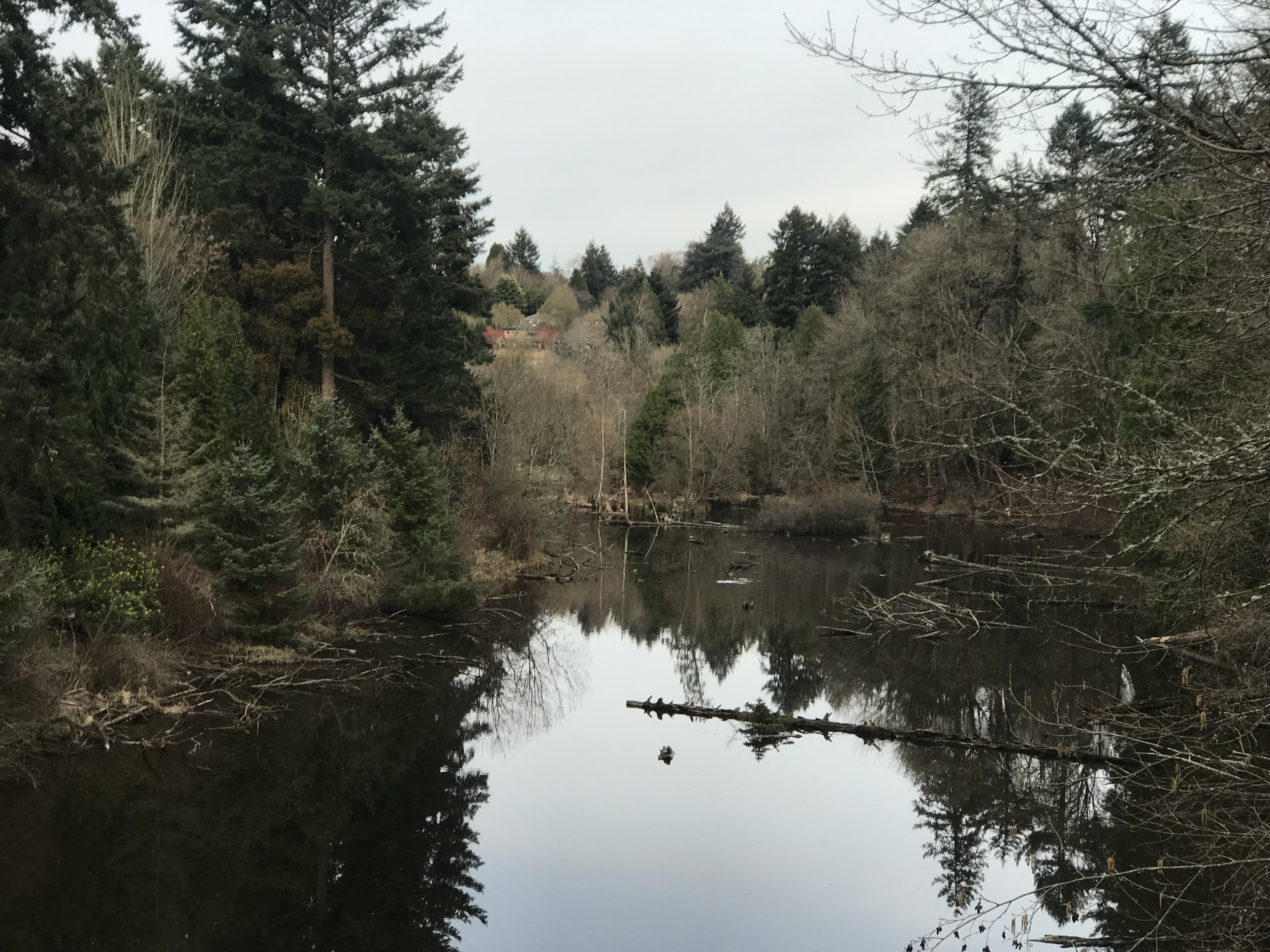 Reed College Neighborhood Meeting