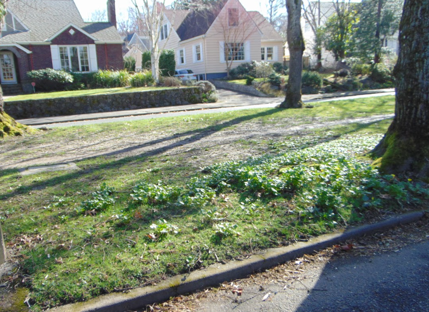 ENA Special Meeting - RCP Invasive Species Managment