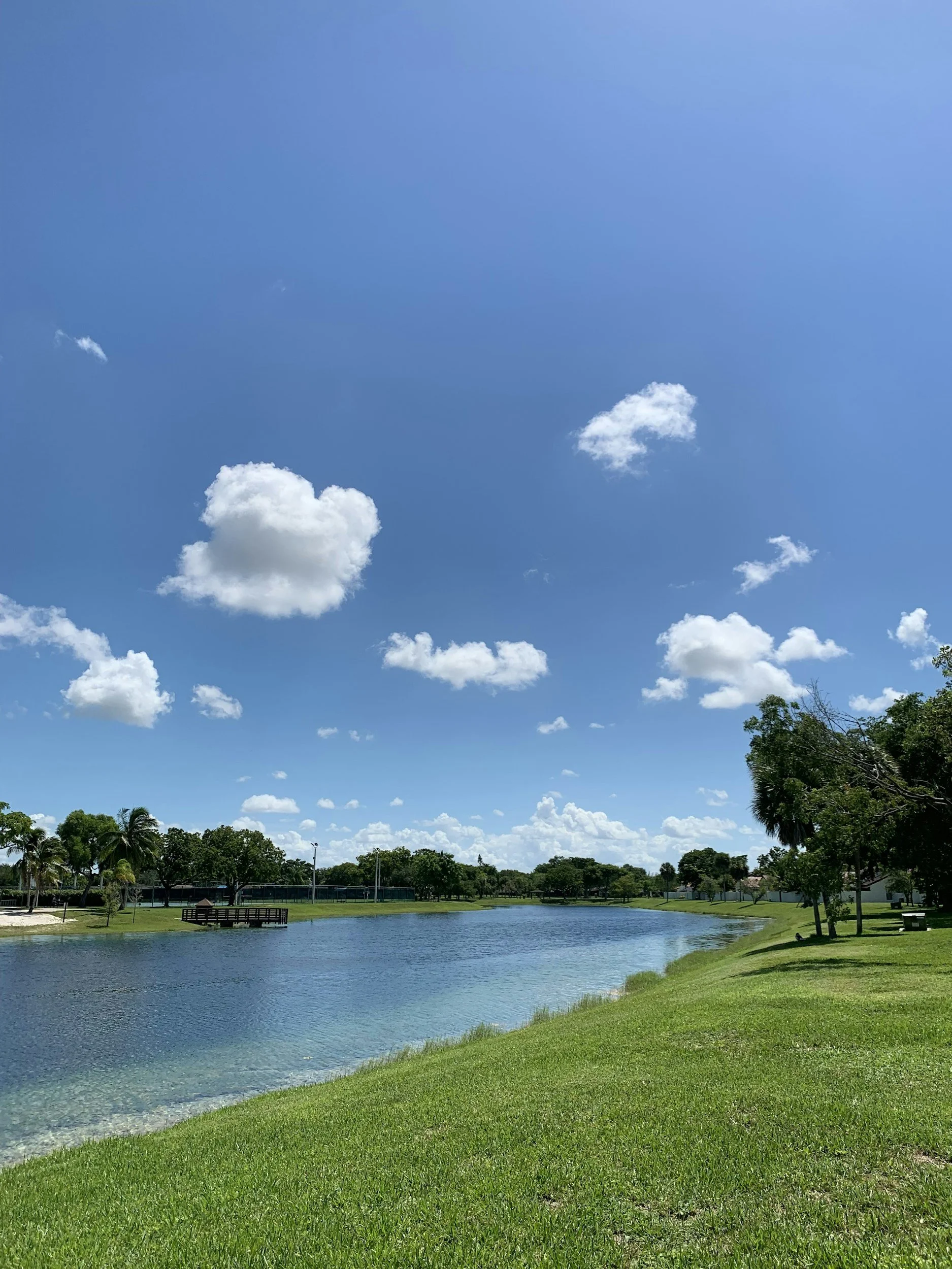 Dr. Alicia Rozycki offers online therapy in Jacksonville FL and the surrounding areas including Middleburg, Fruit Cove, and beyond.