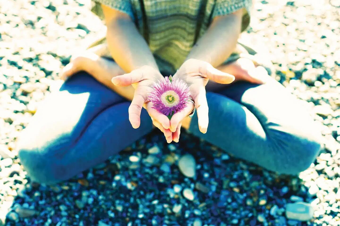 Like the desert wildflowers pushing through the sunbaked earth, awakening from winter&rsquo;s quiet slumber, we too might feel an internal stirring. This annual rhythm of renewal can inspire us to emerge and bloom. 

As a yoga teacher, I&rsquo;ve wit