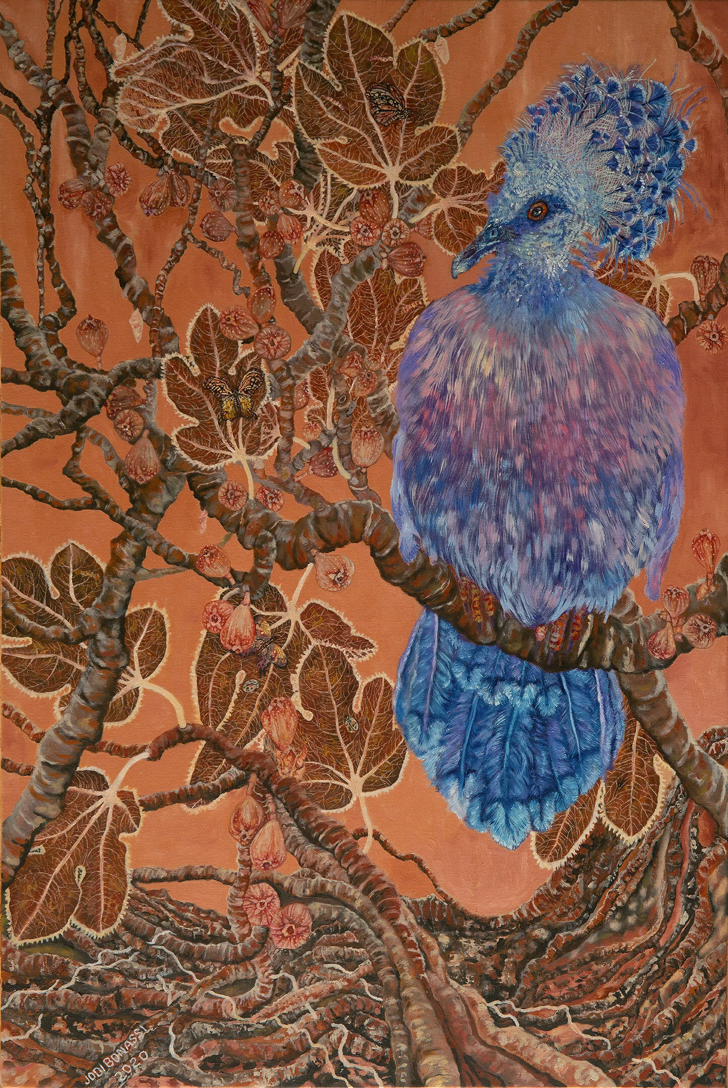 “Crowned Pigeon Brown”