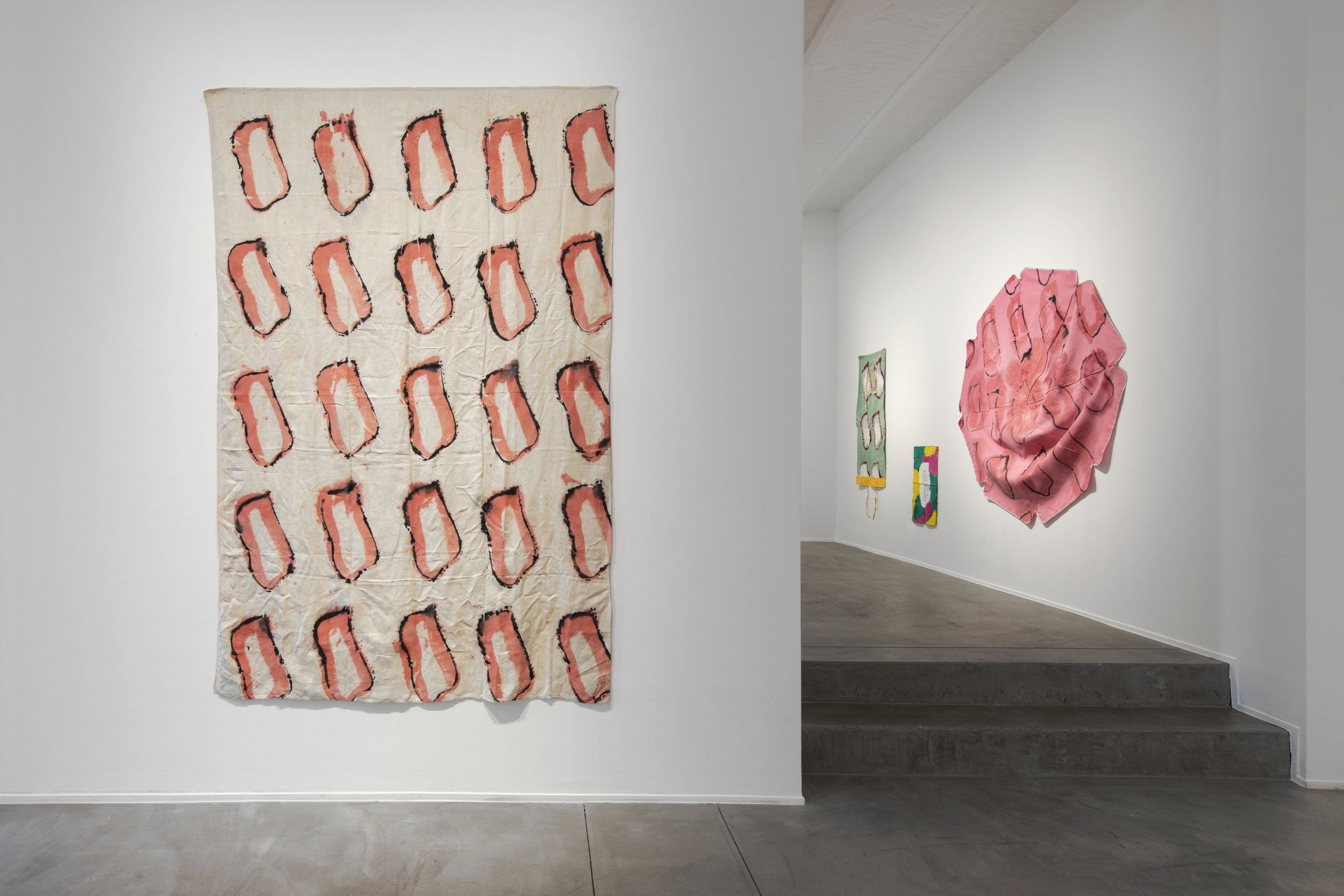 Exhibition Views Viallat - 15.jpg