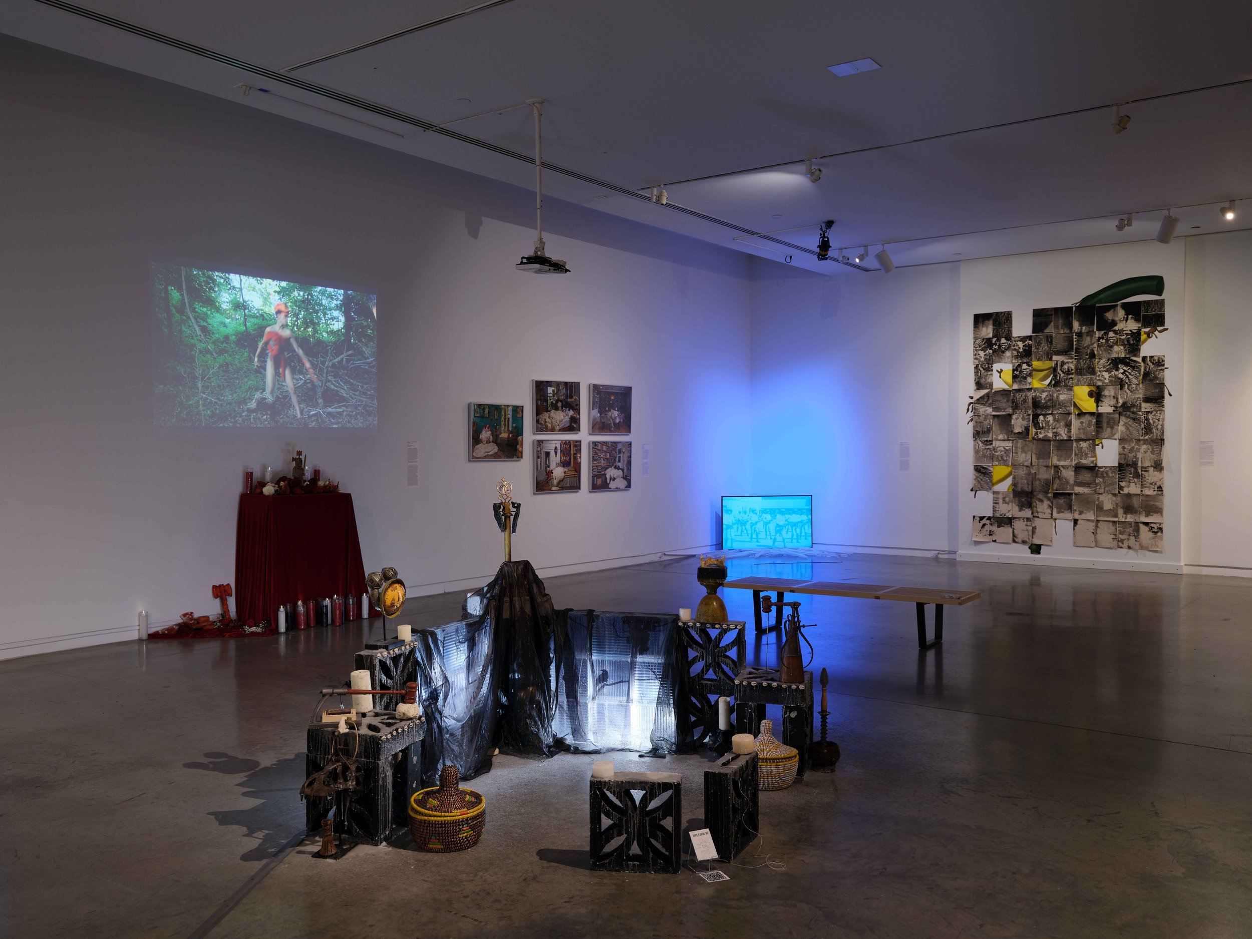 freecompress-The-Bronx-Museum_The-Sixth-AIM-Biennial_Installation-View_2024_Image-By-Argenis-Apolinario_2587.jpeg