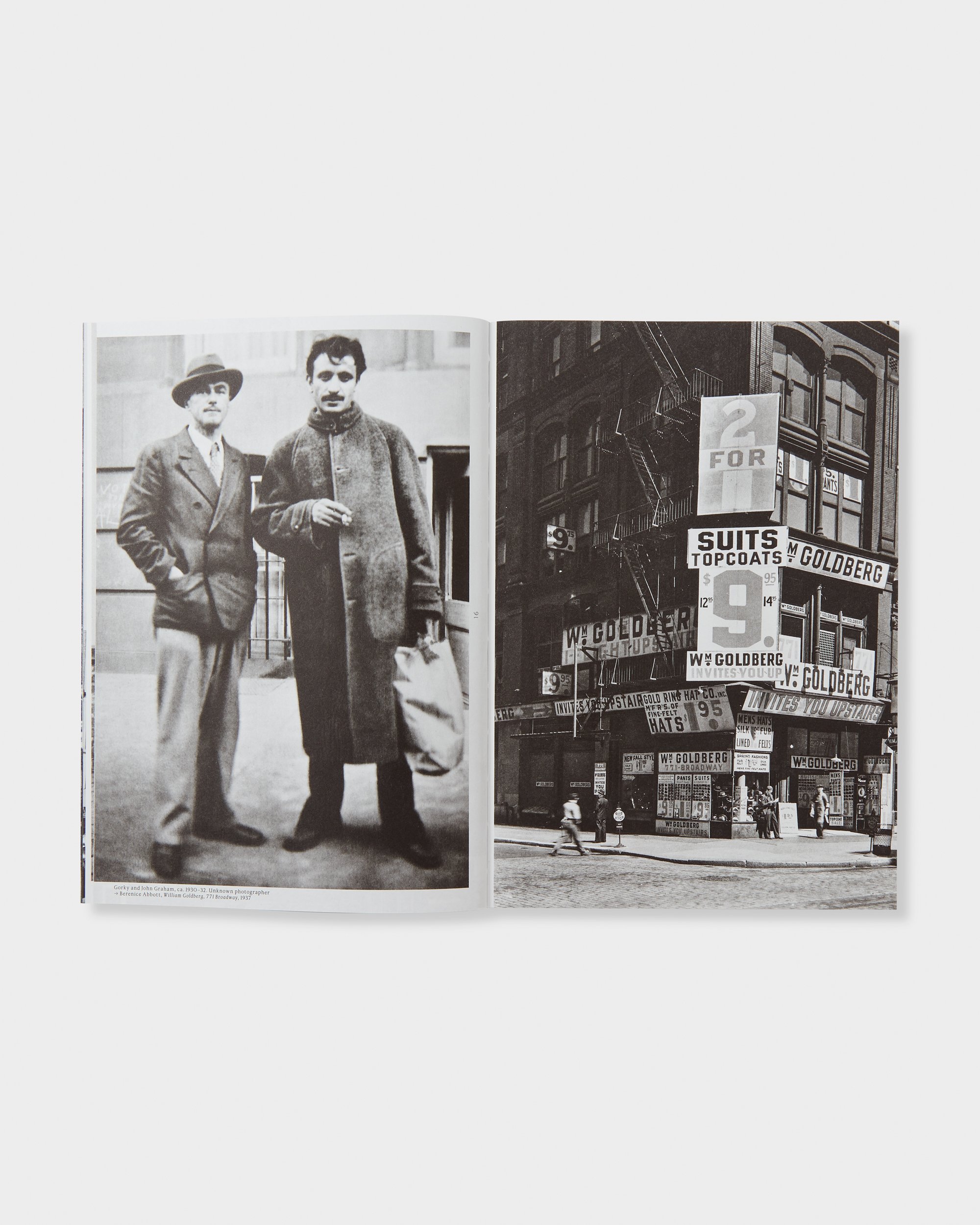 ArshileGorky_NY_PressImg_BookImg_7.jpg