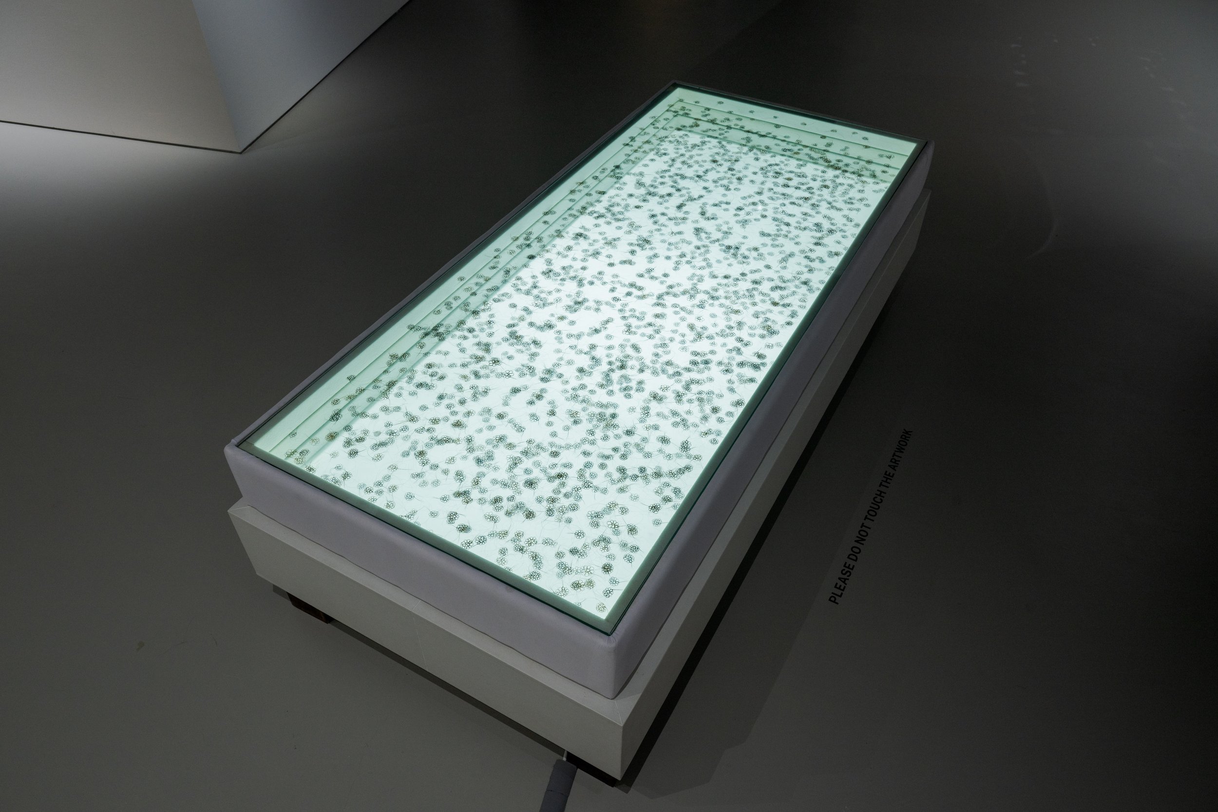 Installation view of Imhathai Suwatthanasilp’s ‘The Flower Field’ (2012) as part of ‘Everyday Practices’ at SAM at Tanjong Pagar Distripark. Image courtesy of Singapore Art Museum.jpg