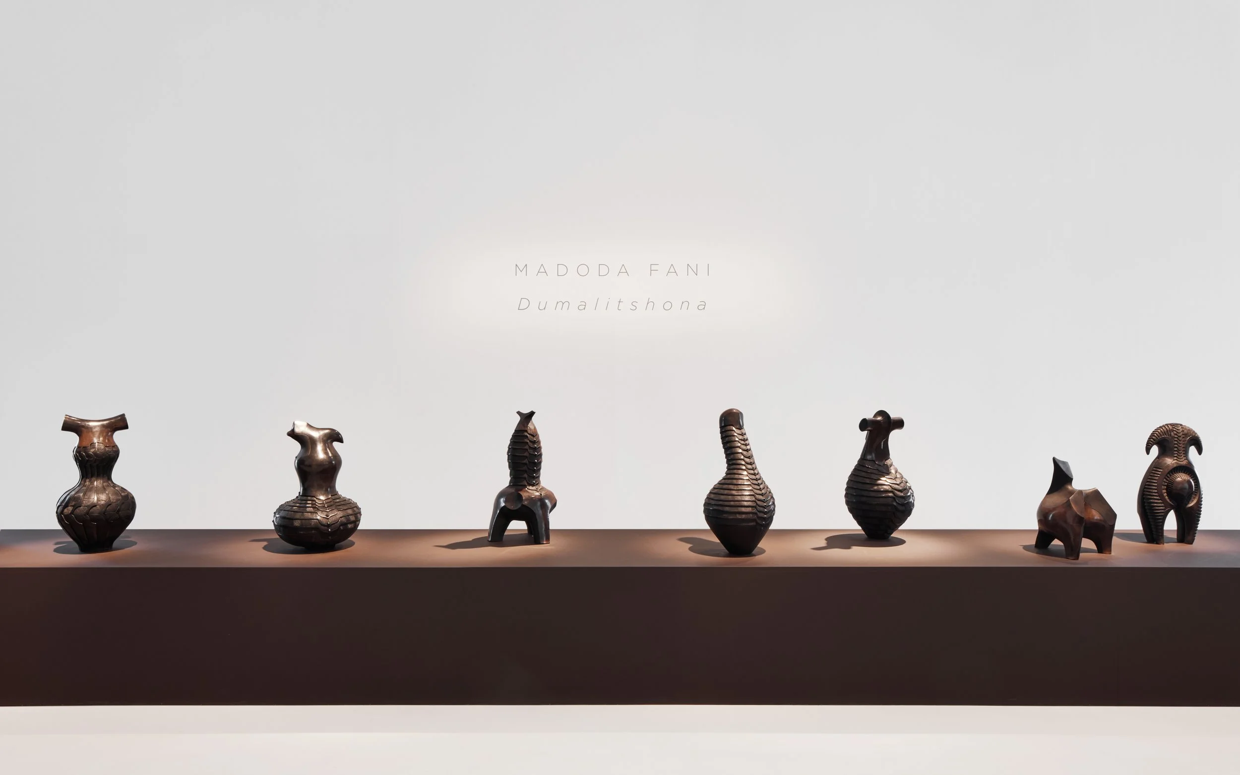 Madoda Fani: Dumalitshona