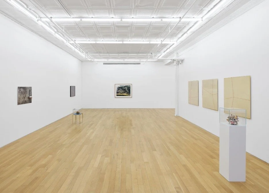 Su-Mei Tse’s Poetics of Matter