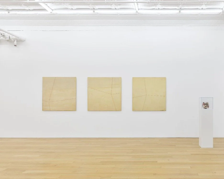 Su-Mei Tse. This is (not) a love song