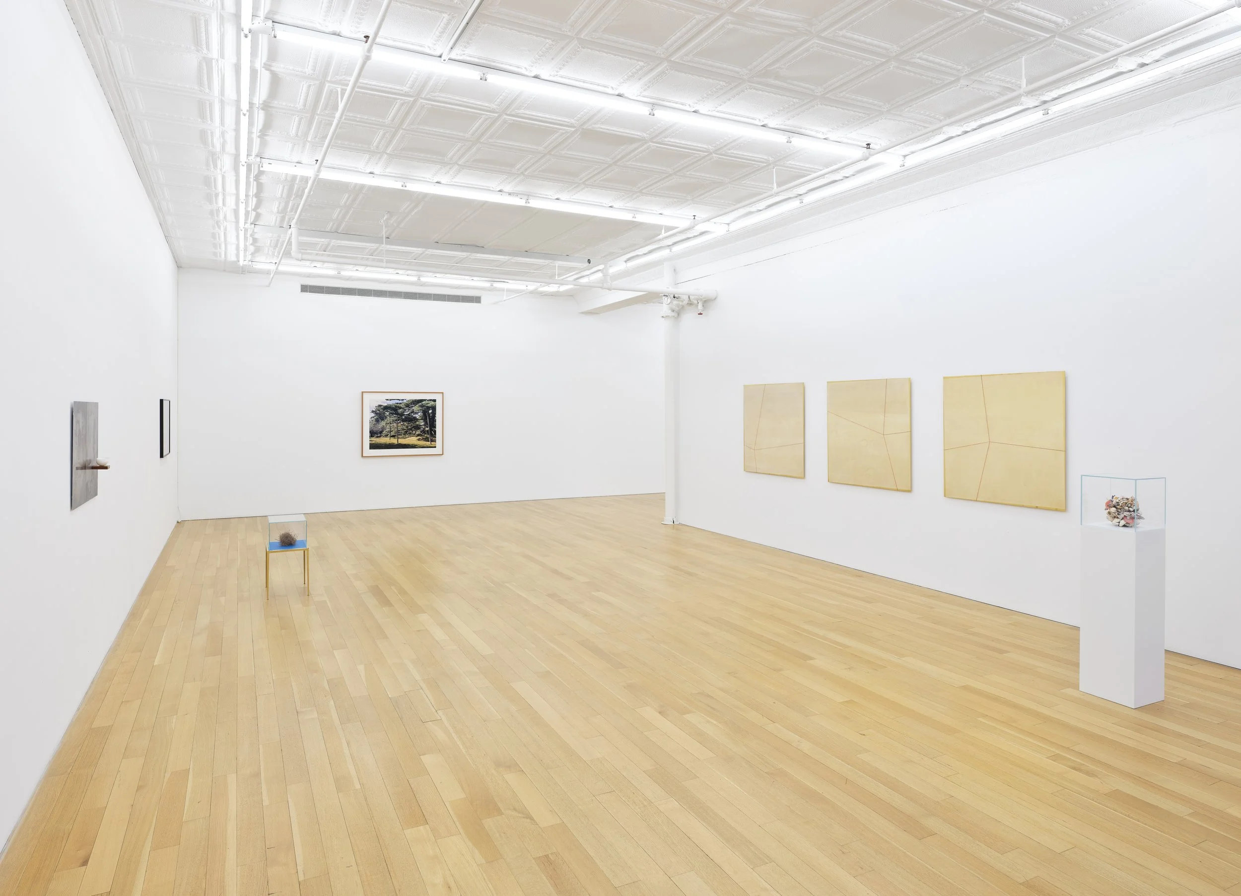 This is (not) a love song_Su-Mei Tse_install 9.jpg