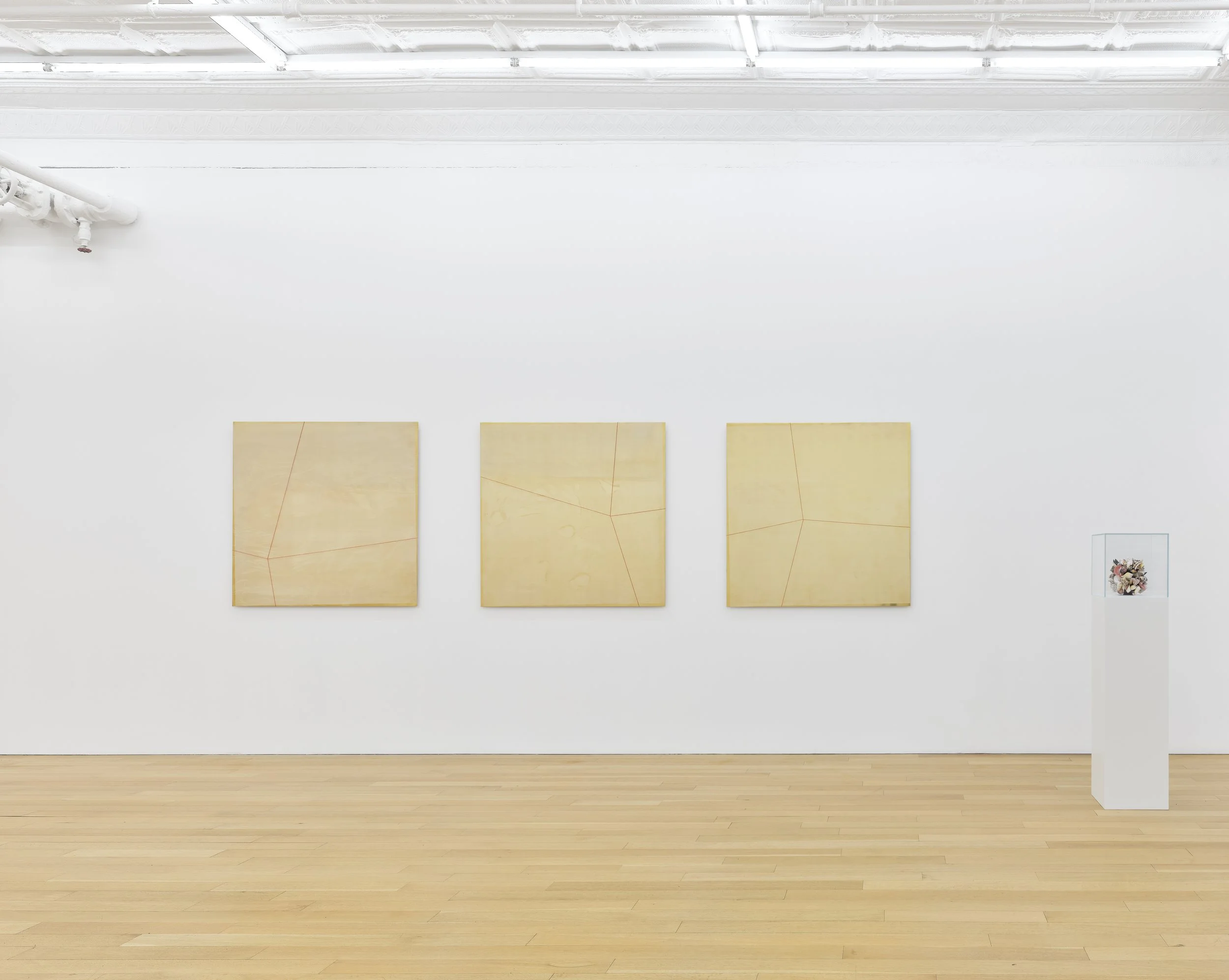 This is (not) a love song_Su-Mei Tse_install 7.jpg