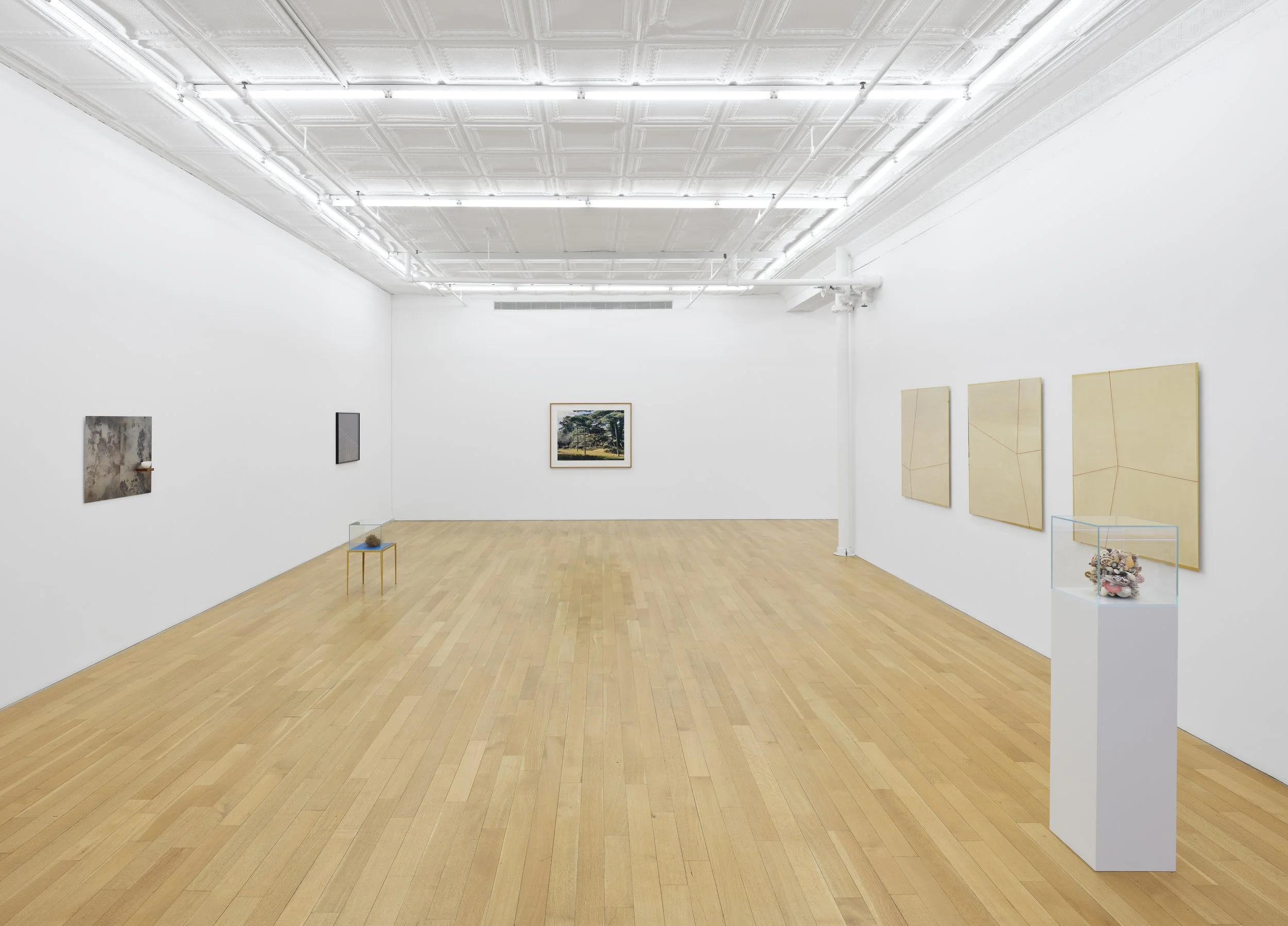 This is (not) a love song_Su-Mei Tse_install 5.jpg