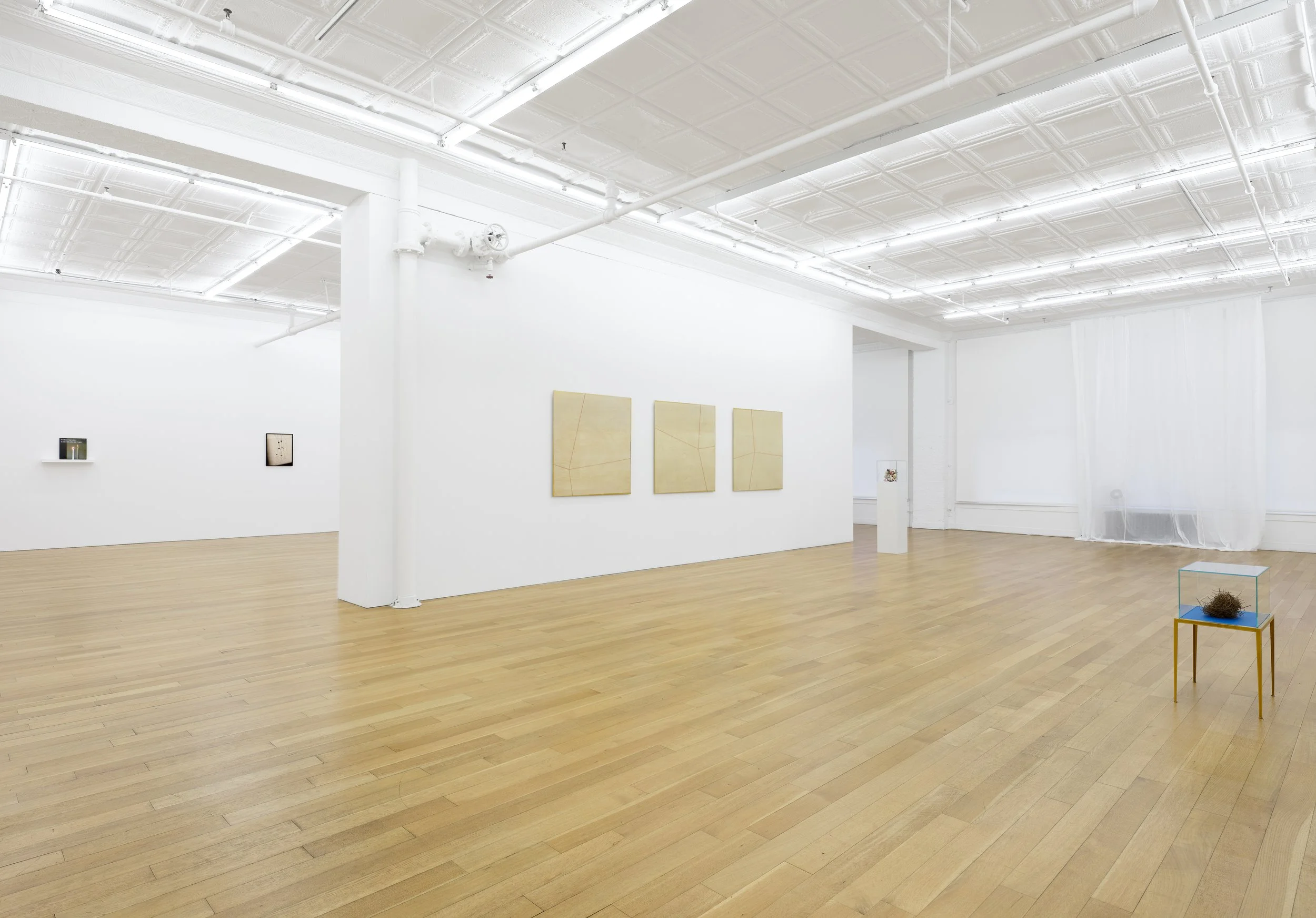 This is (not) a love song_Su-Mei Tse_install 13.jpg