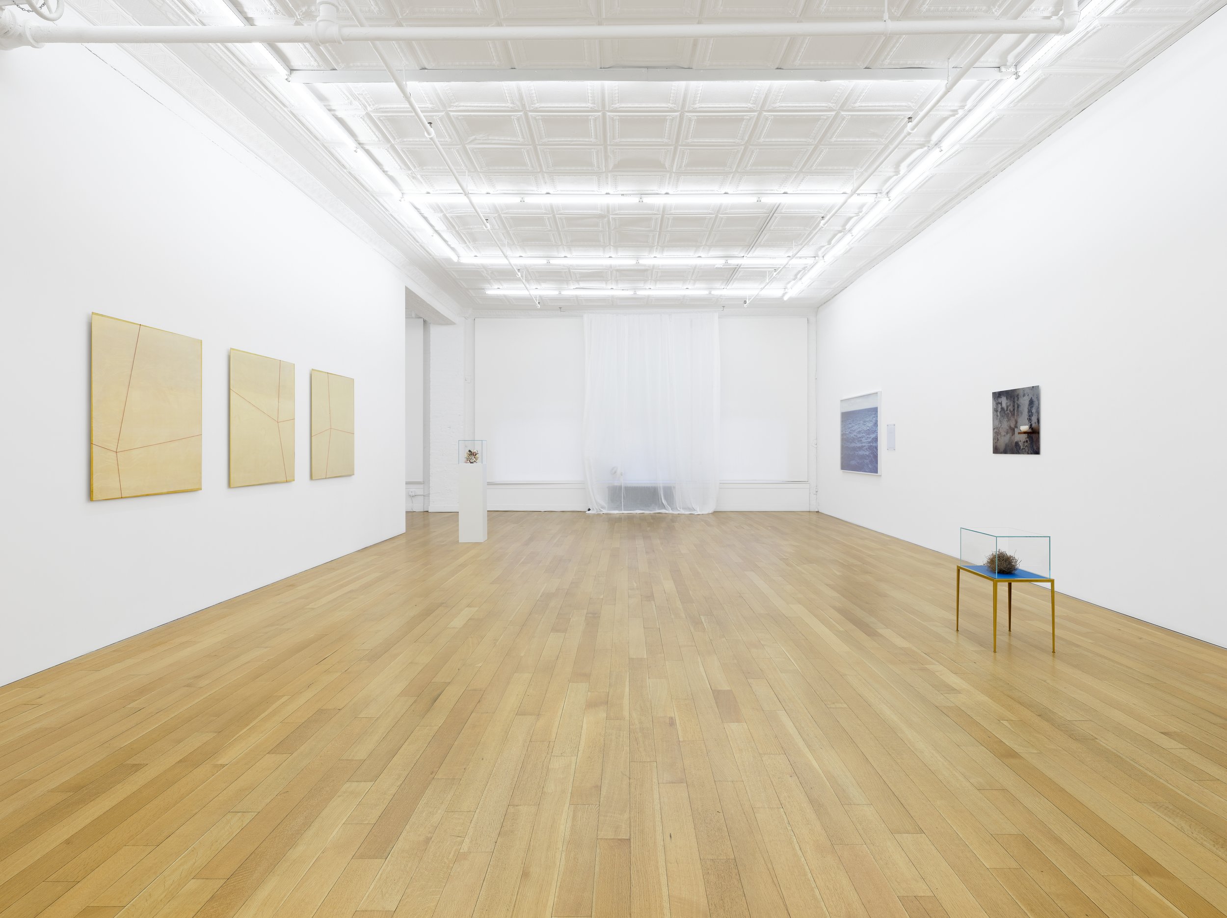 This is (not) a love song_Su-Mei Tse_install 14.jpg